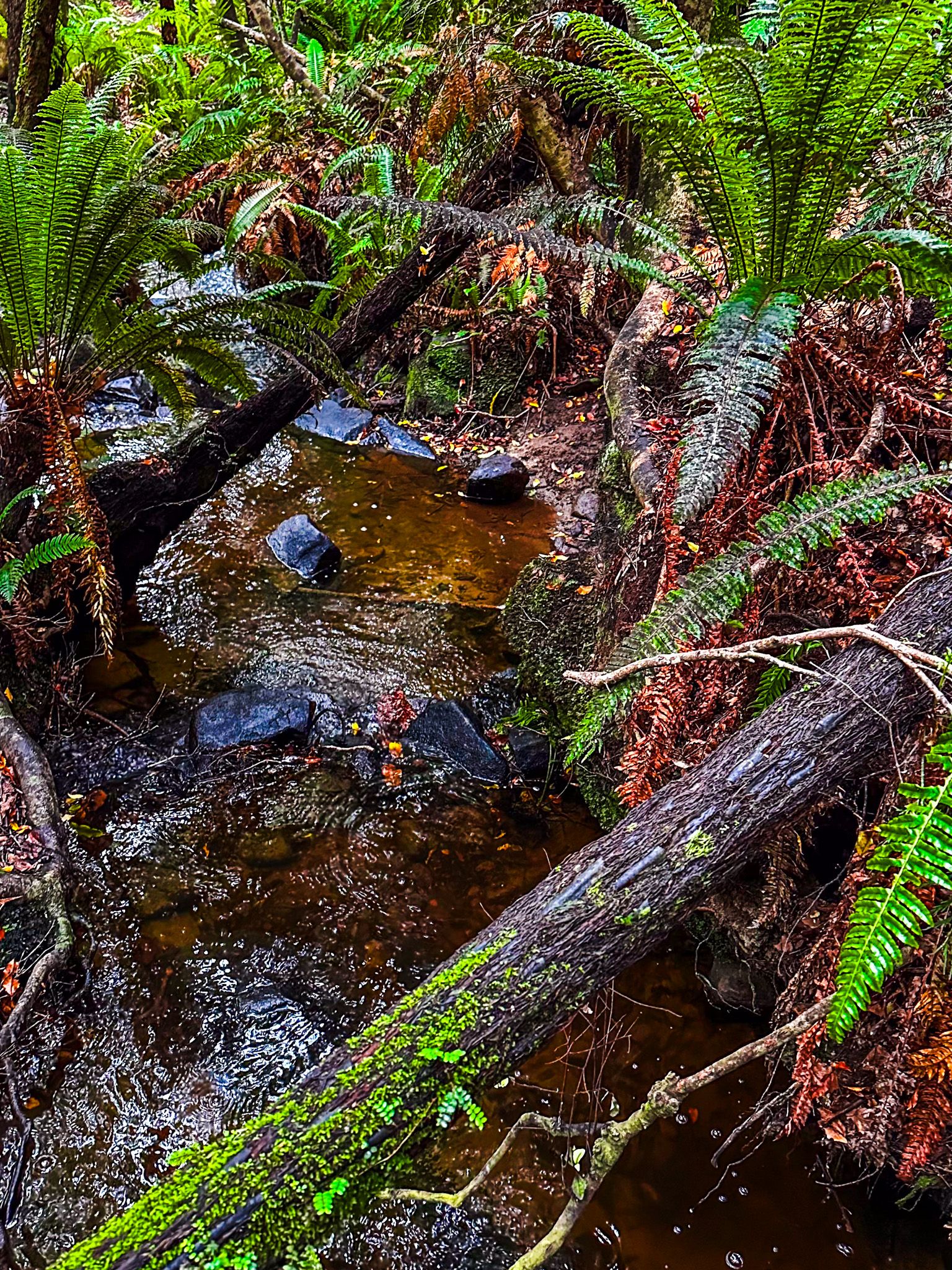 Image 9 of 10