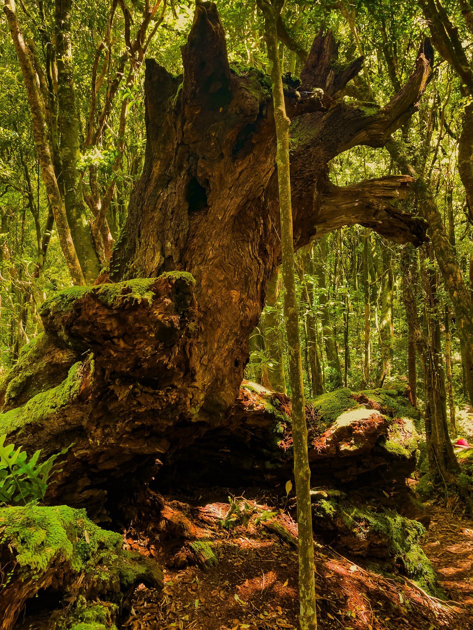 Image 9 of 9