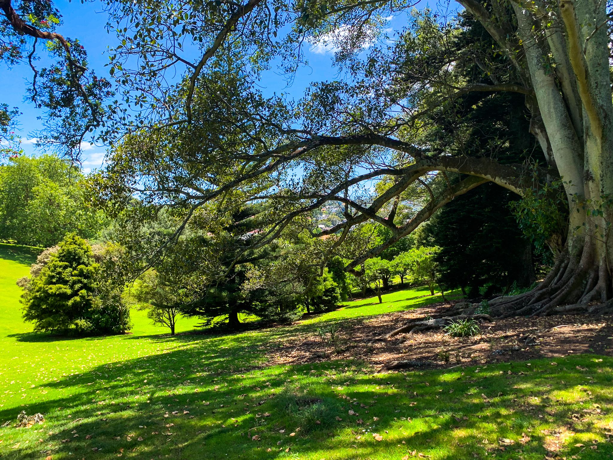 Image 7 of 10