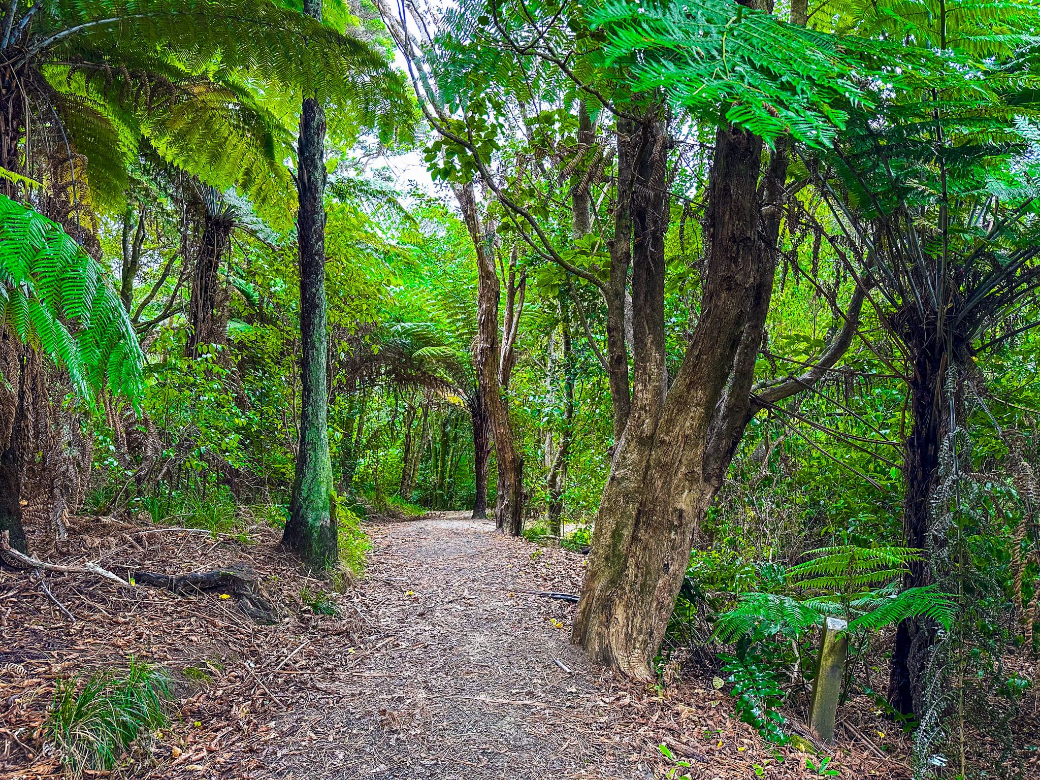 Wainui Bush Park