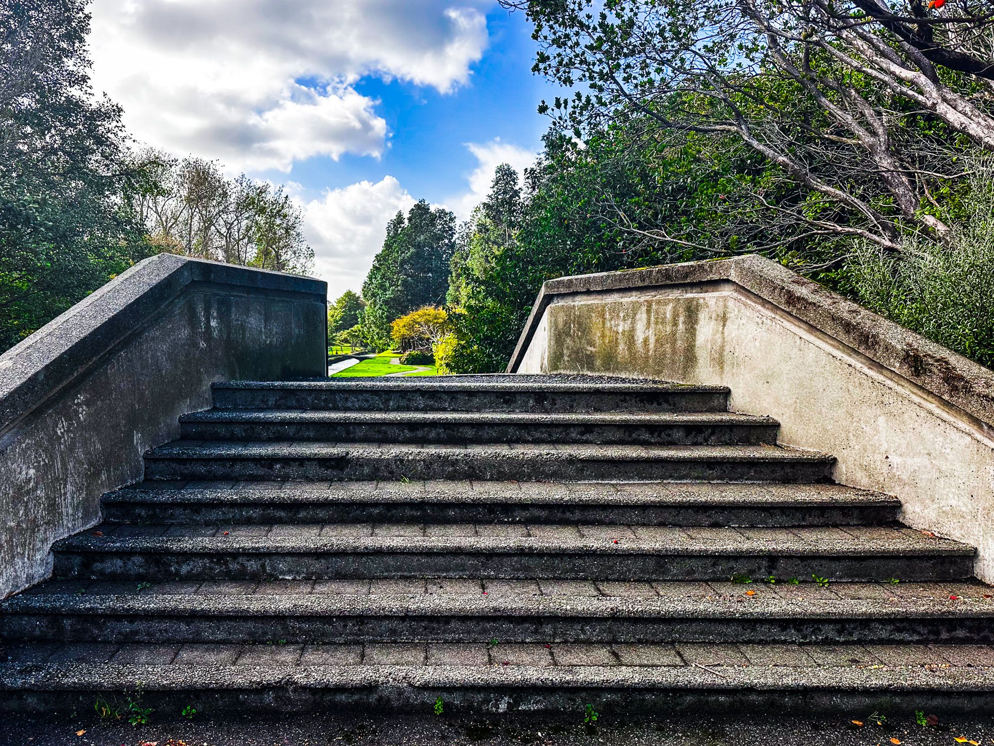 Image 6 of 10