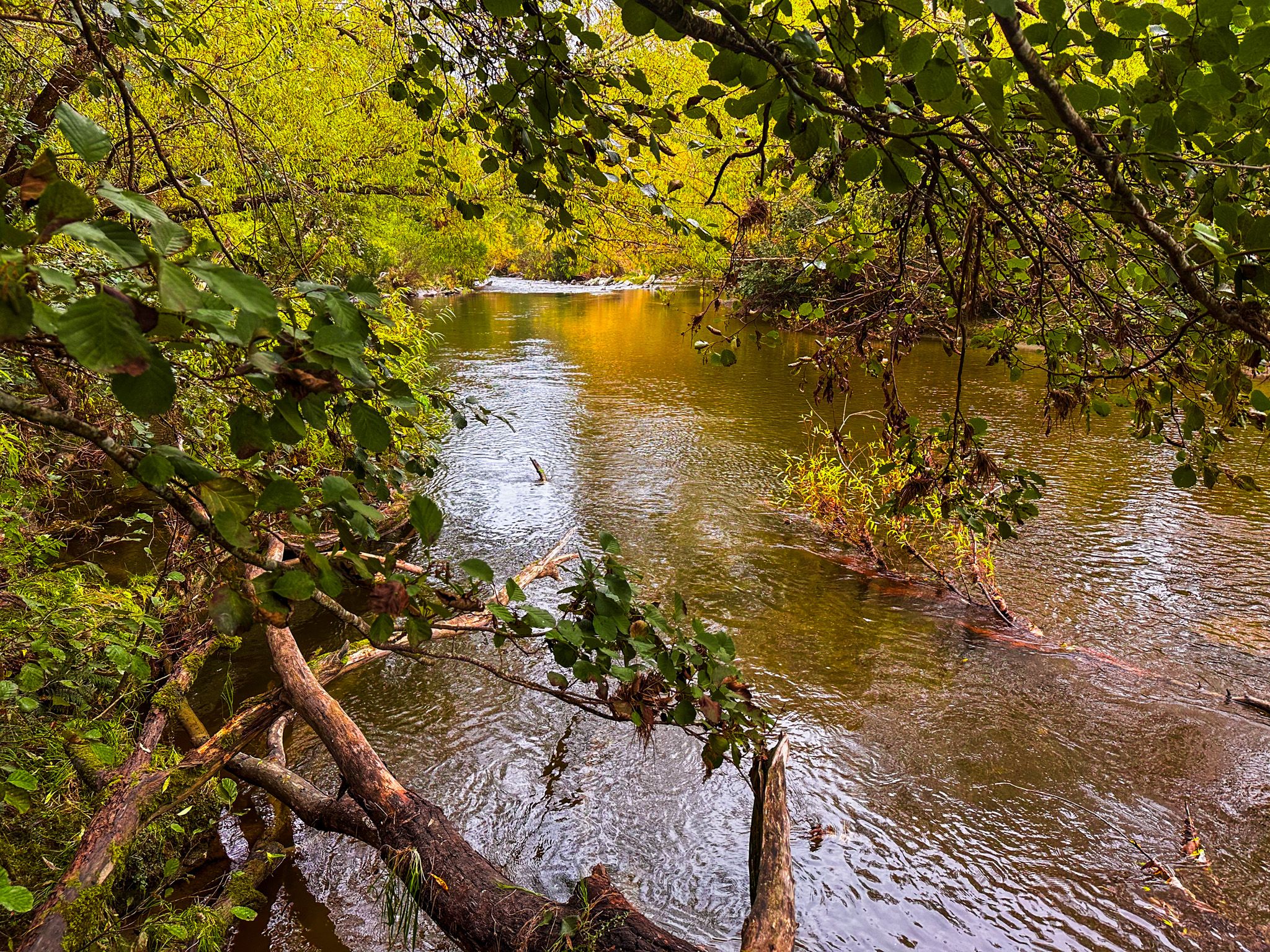 Image 7 of 10