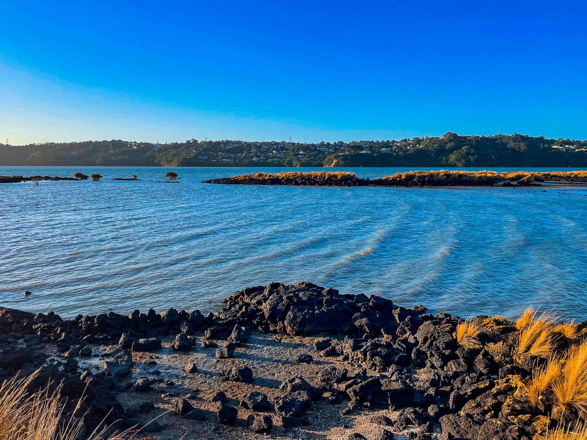 Ambury Regional Park | South Auckland - New Zealand Trip Ideas