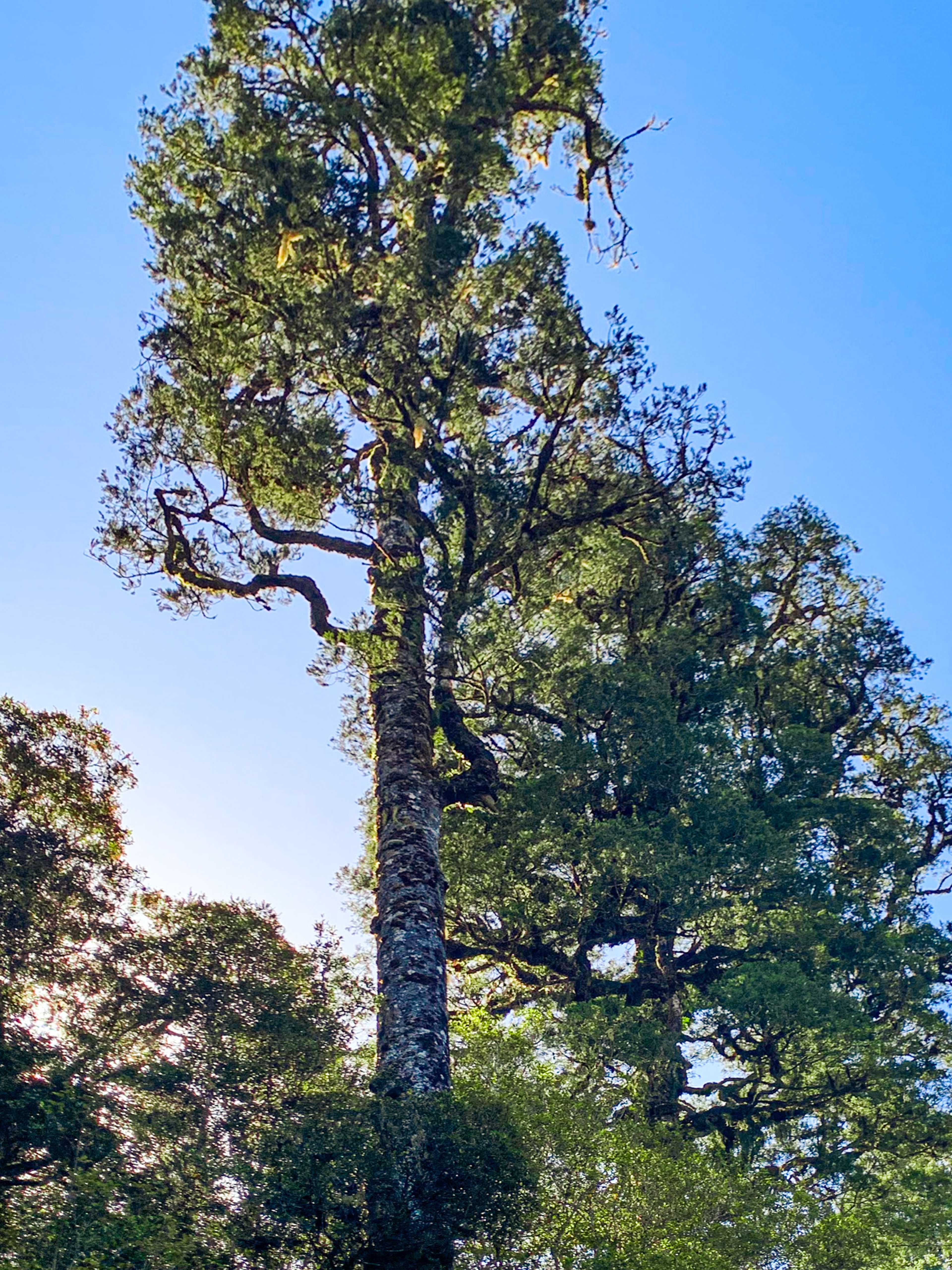 Image 9 of 10