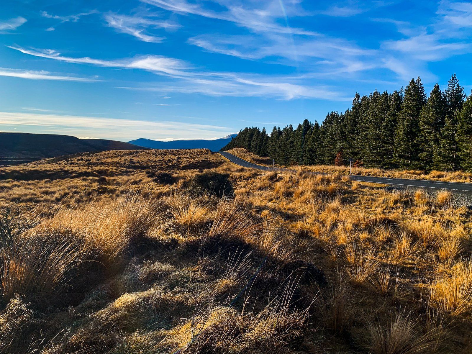 Red Tussock Conservation Area