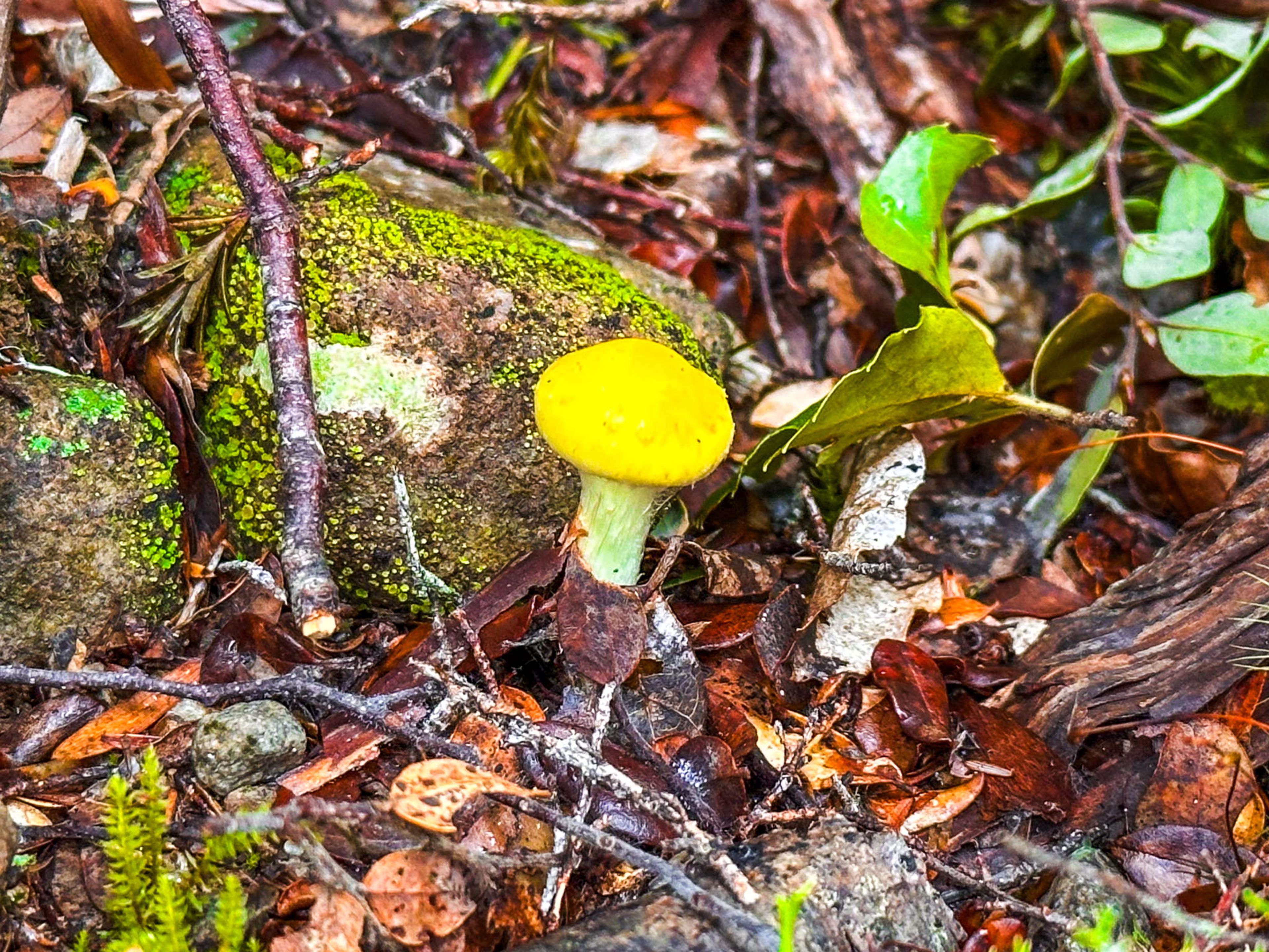 Image 8 of 10
