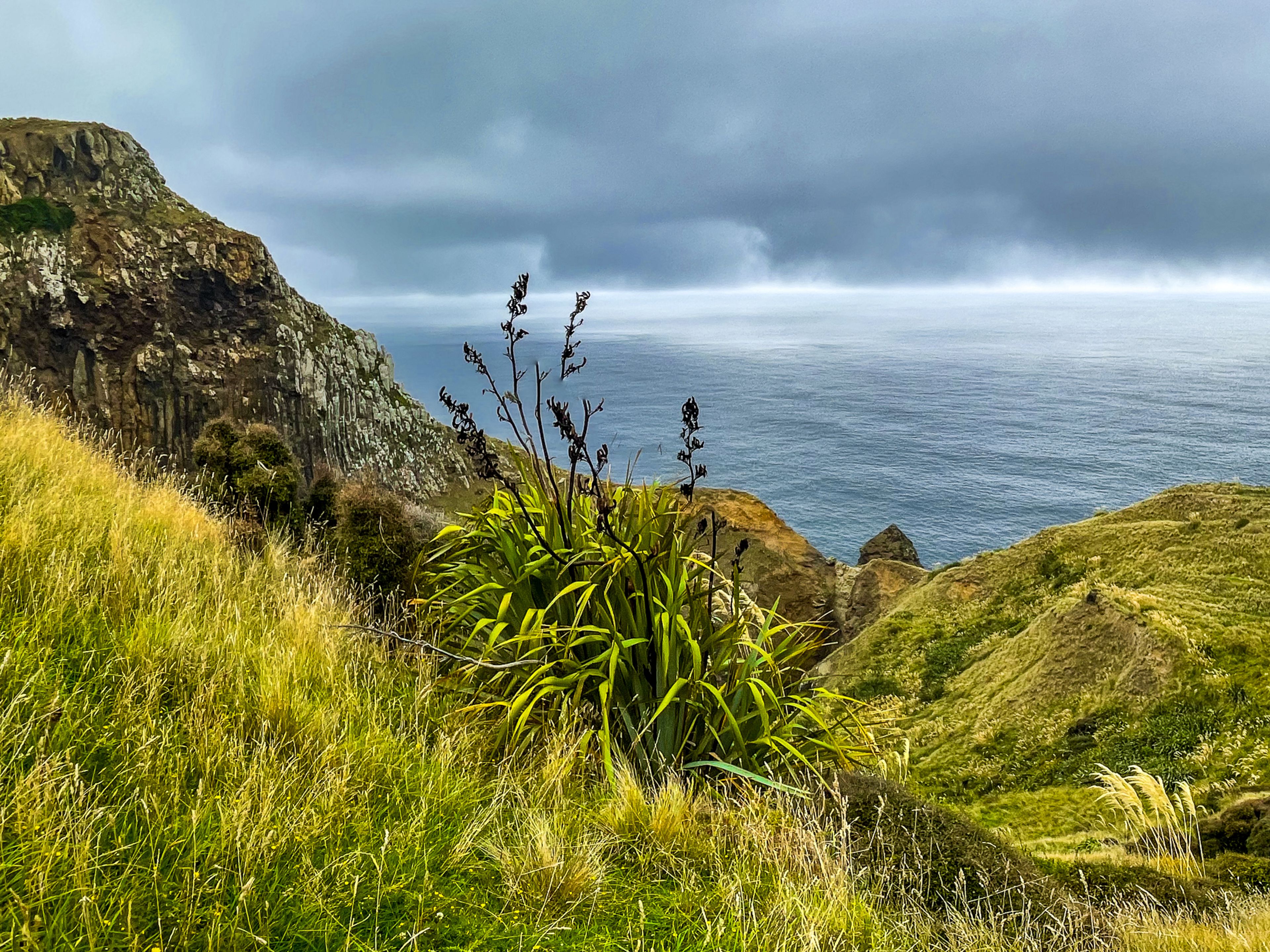 Sandymount Loop Track