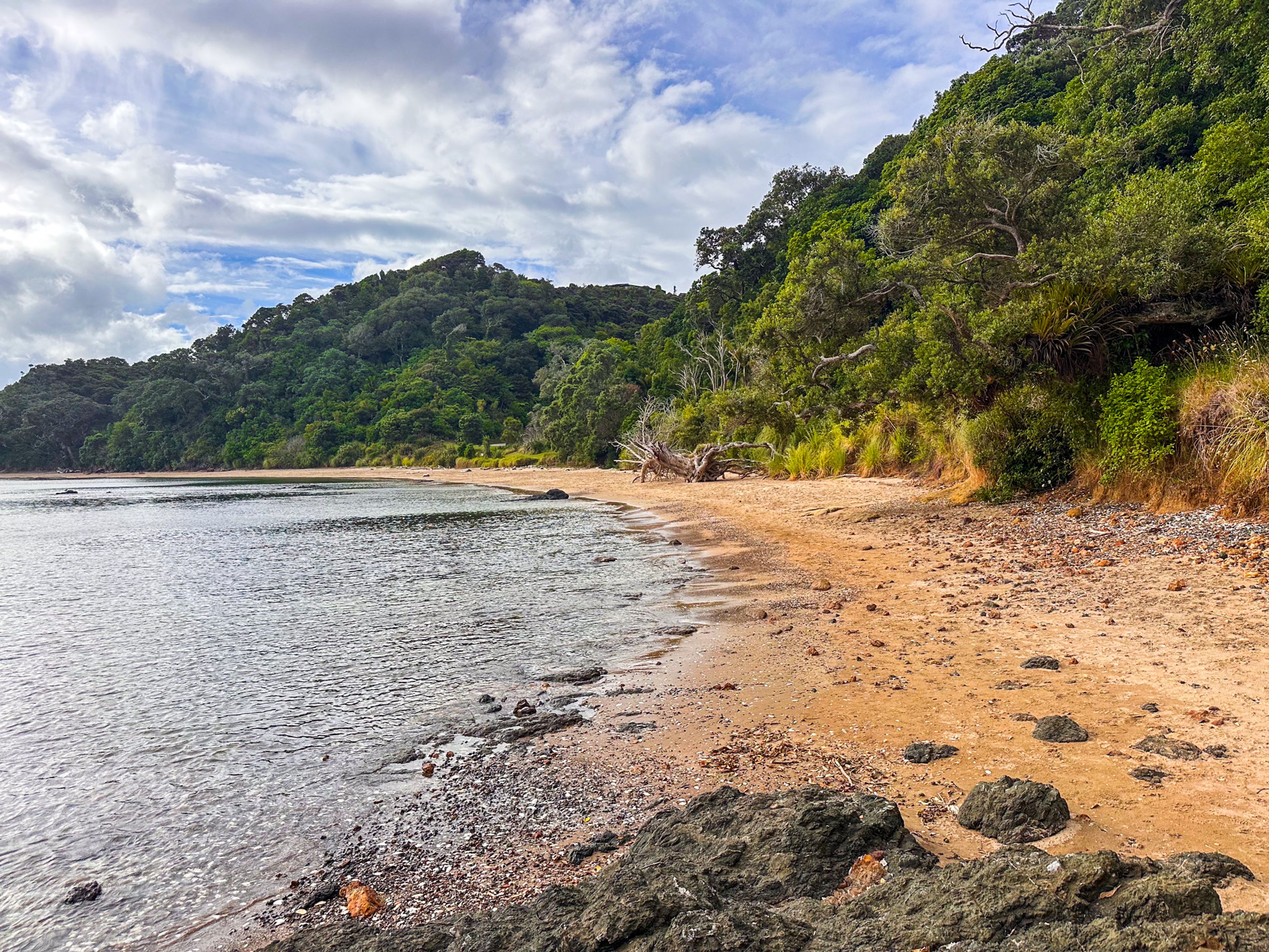 Image 10 of 10