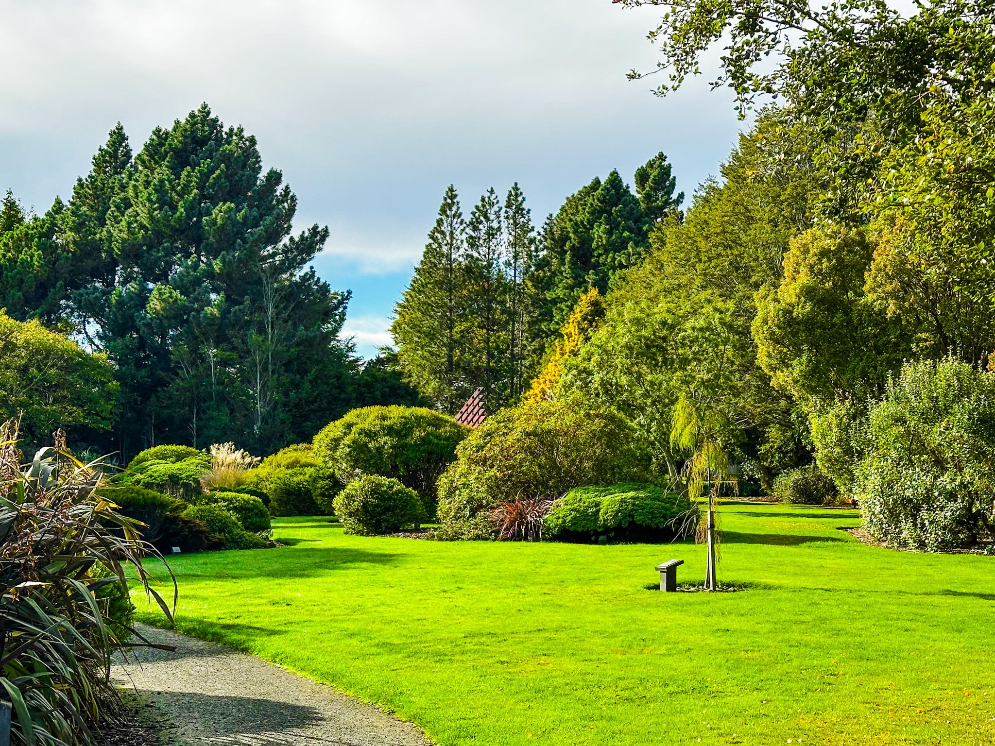 Image 8 of 10