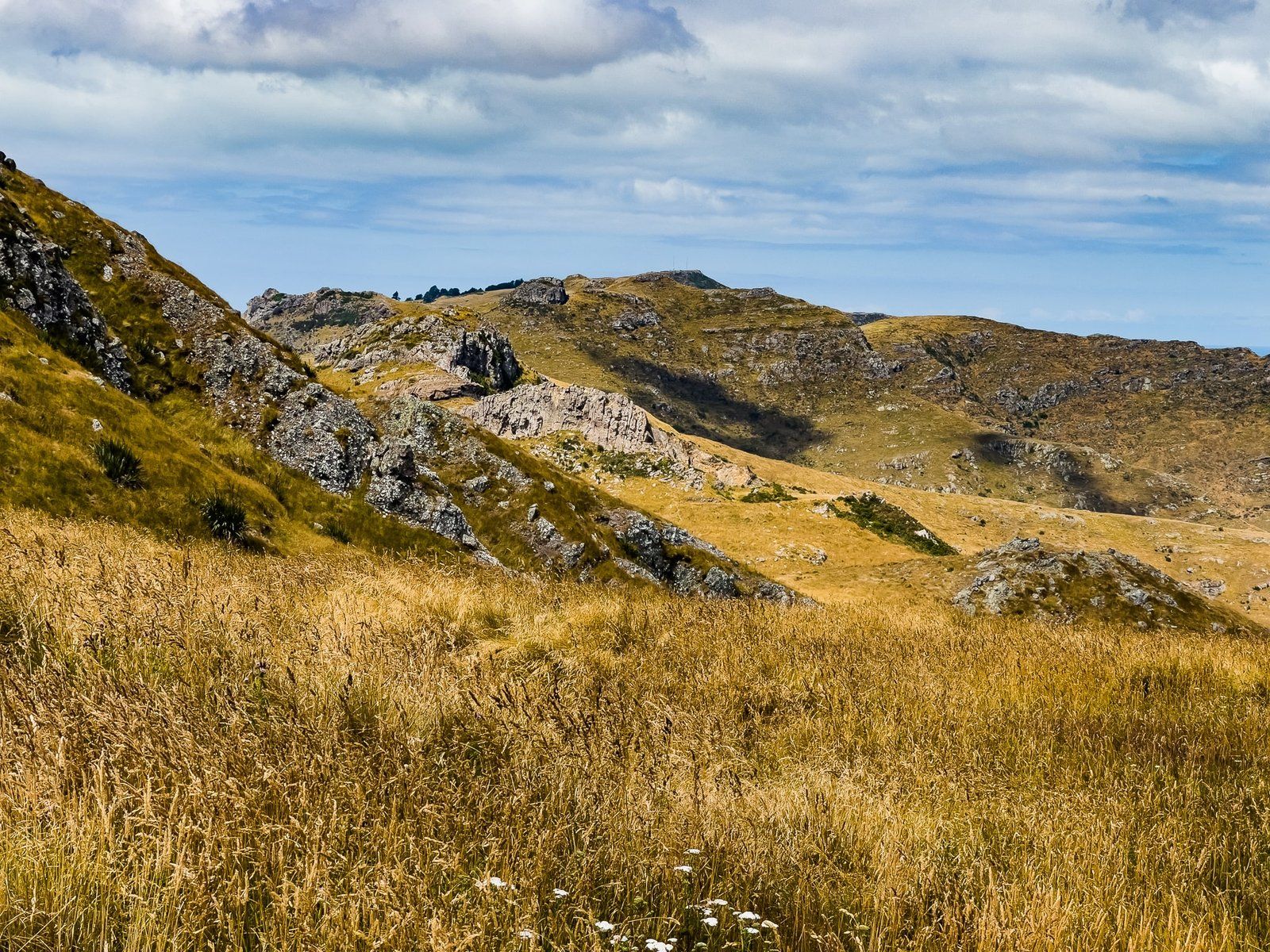 Image 8 of 9