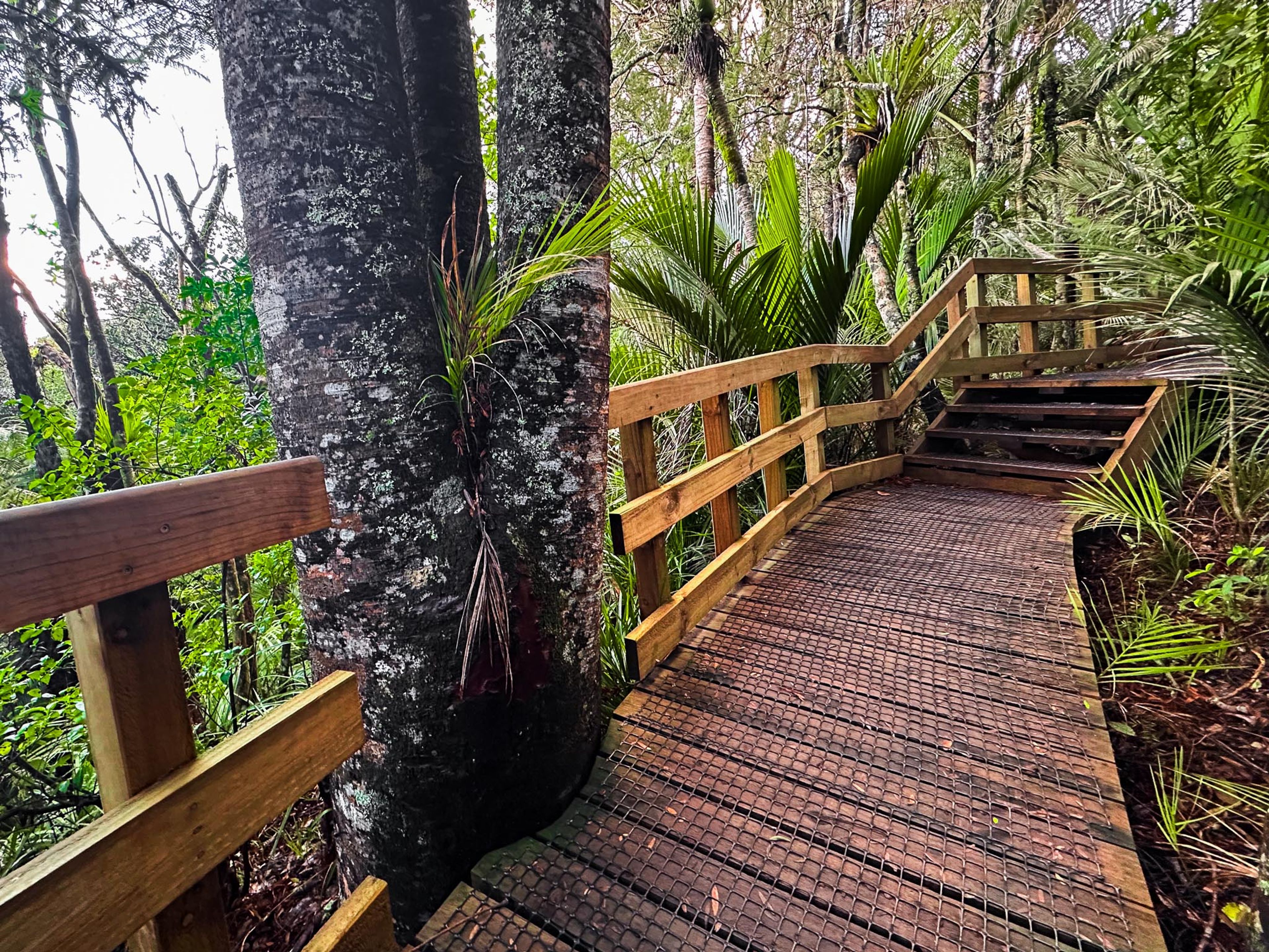 Image 8 of 10