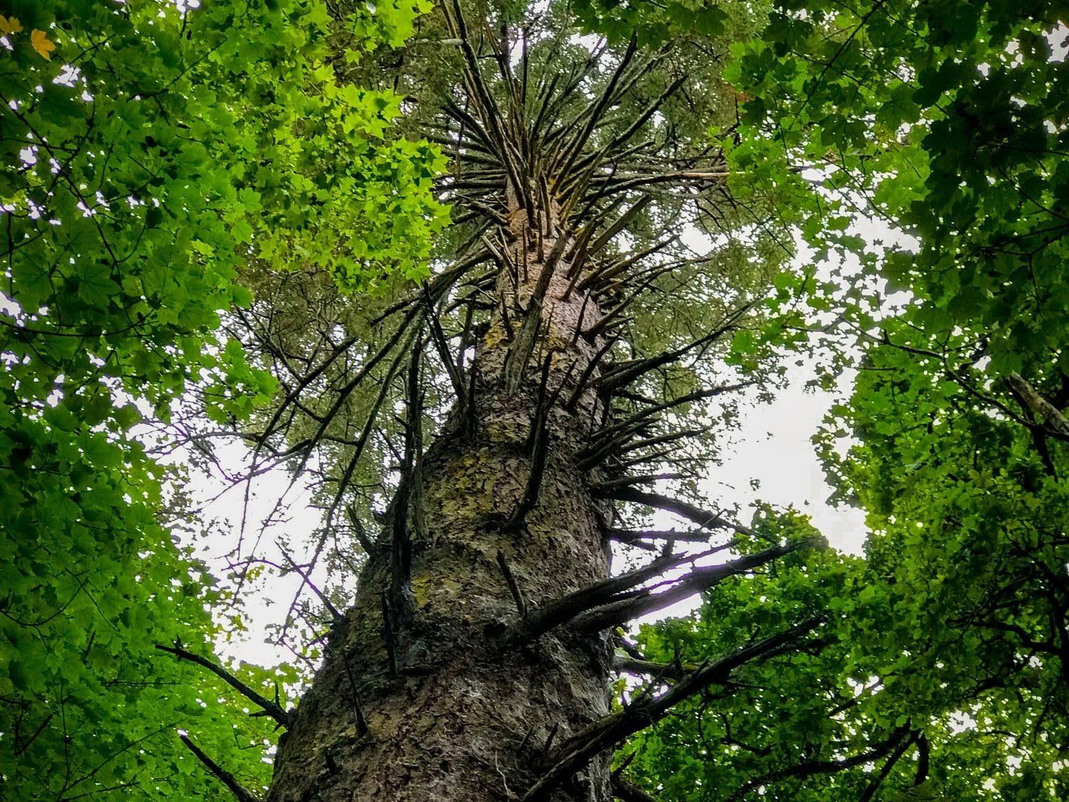 Image 9 of 10