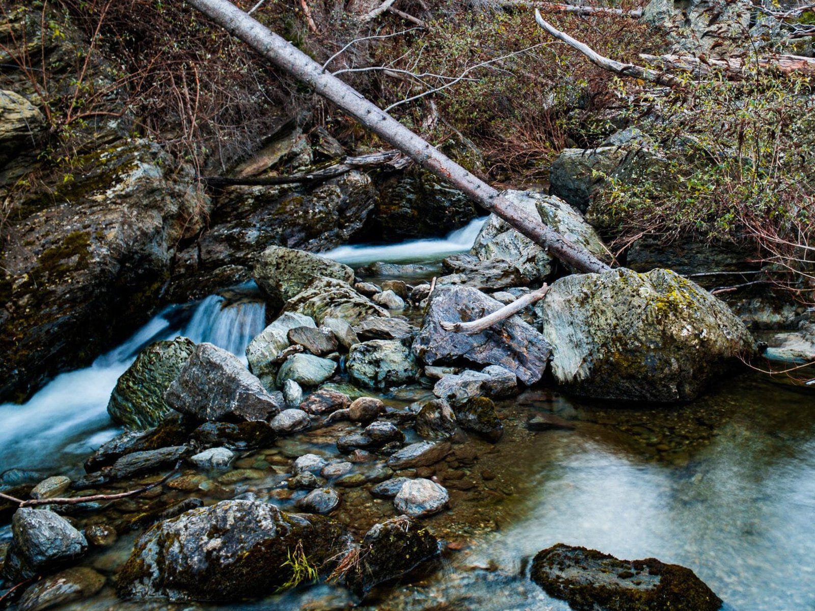 Image 4 of 6