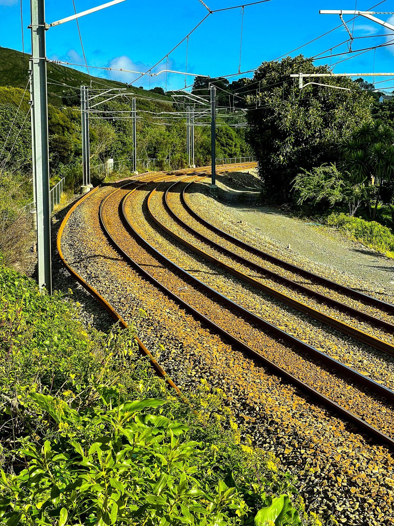 Image 8 of 12