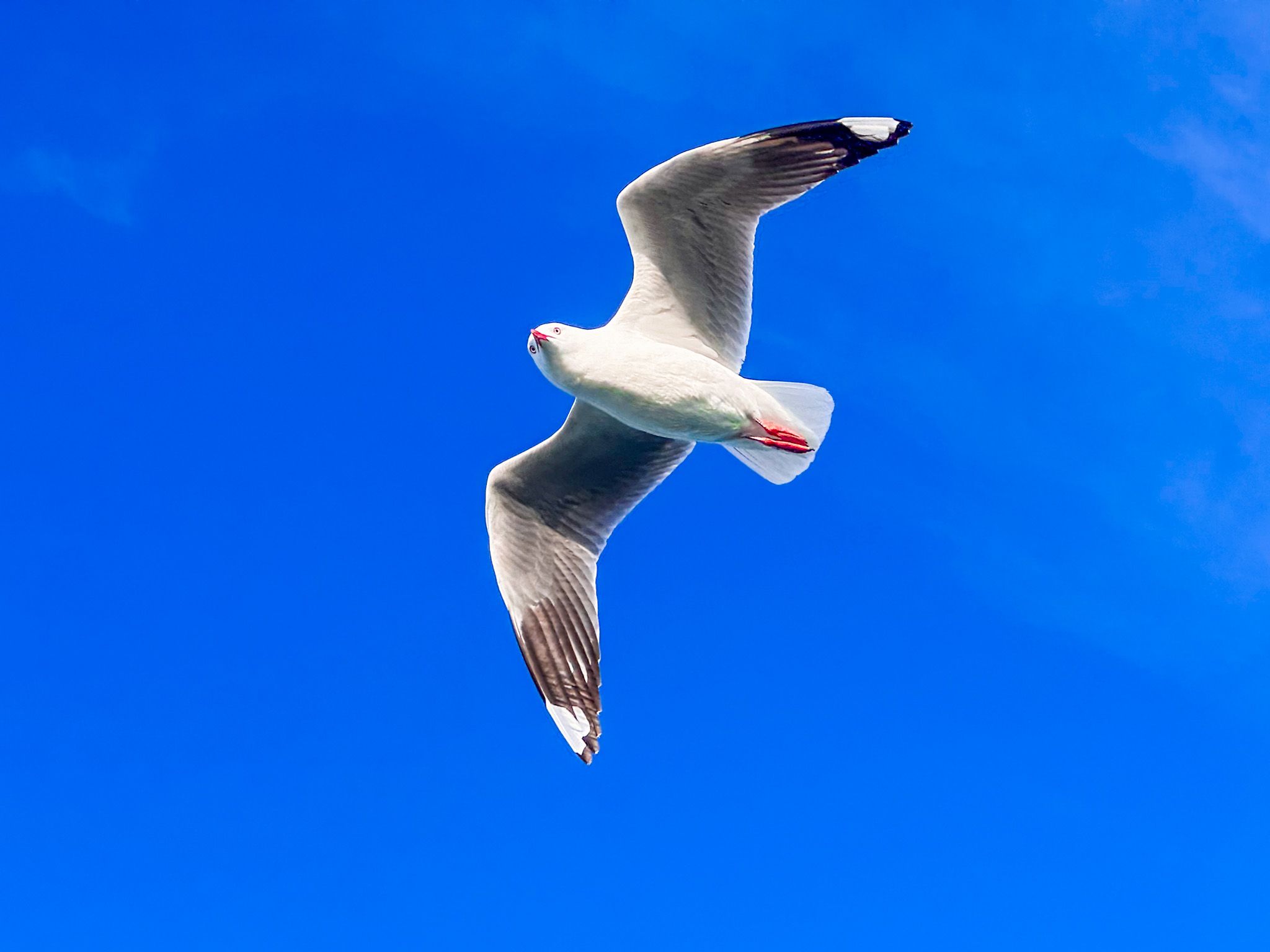 Image 10 of 10