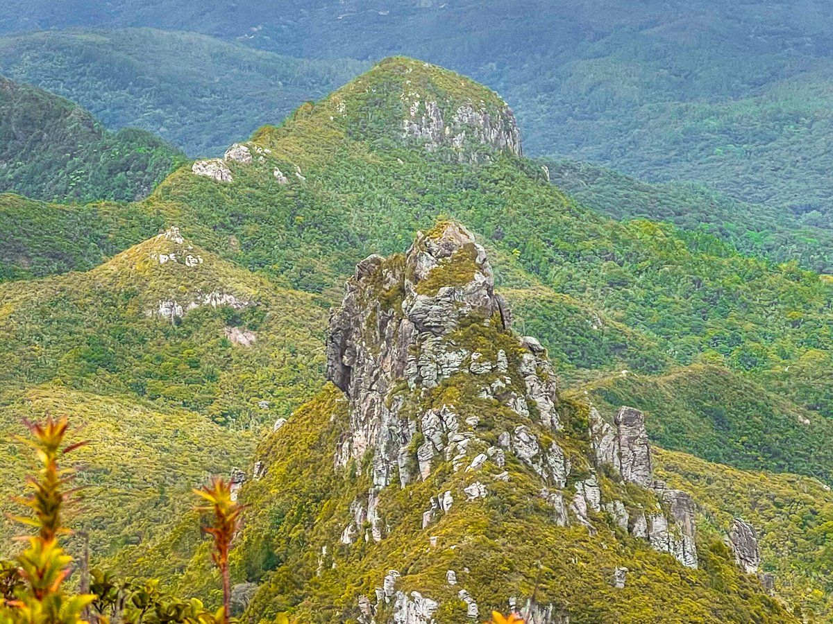 Image 4 of 8