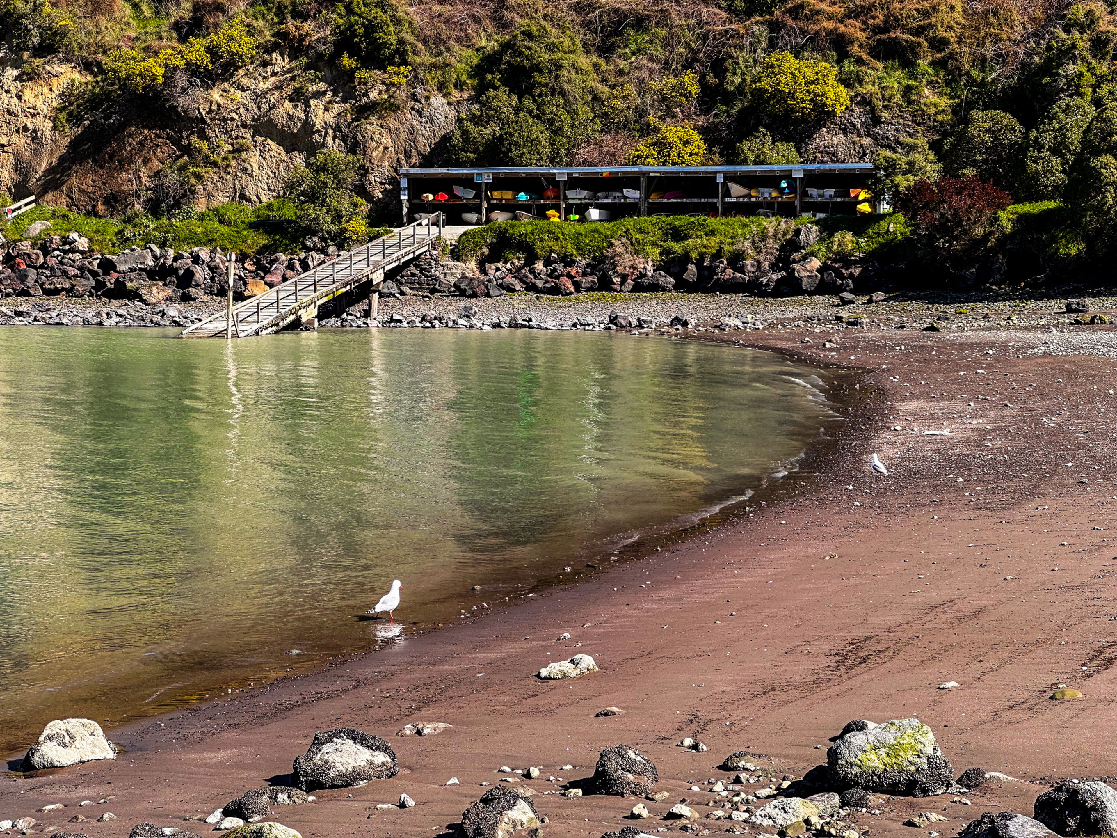 Image 7 of 10