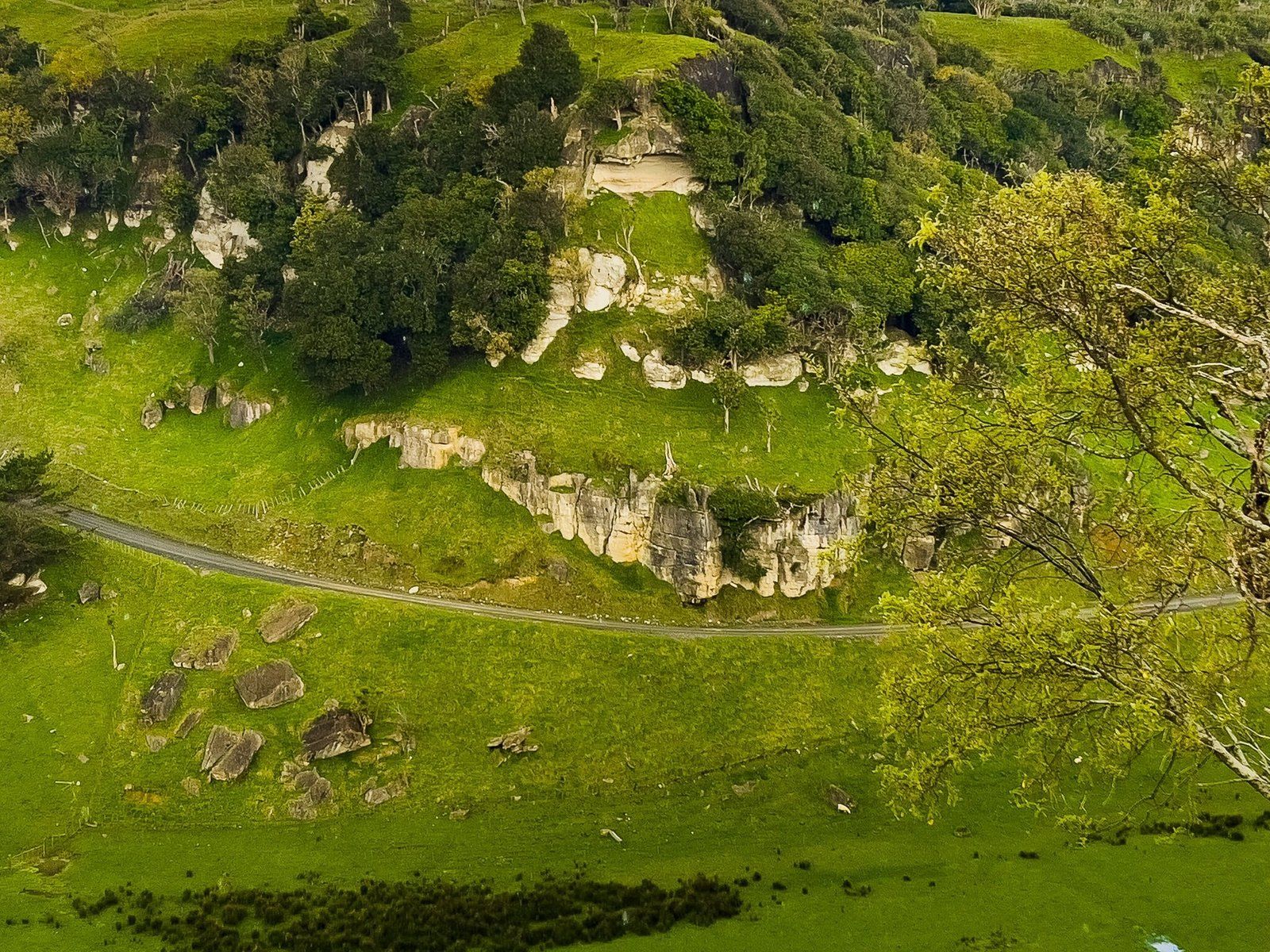 Image 7 of 12