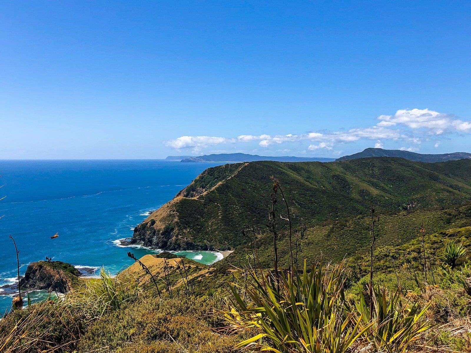 Image 9 of 10