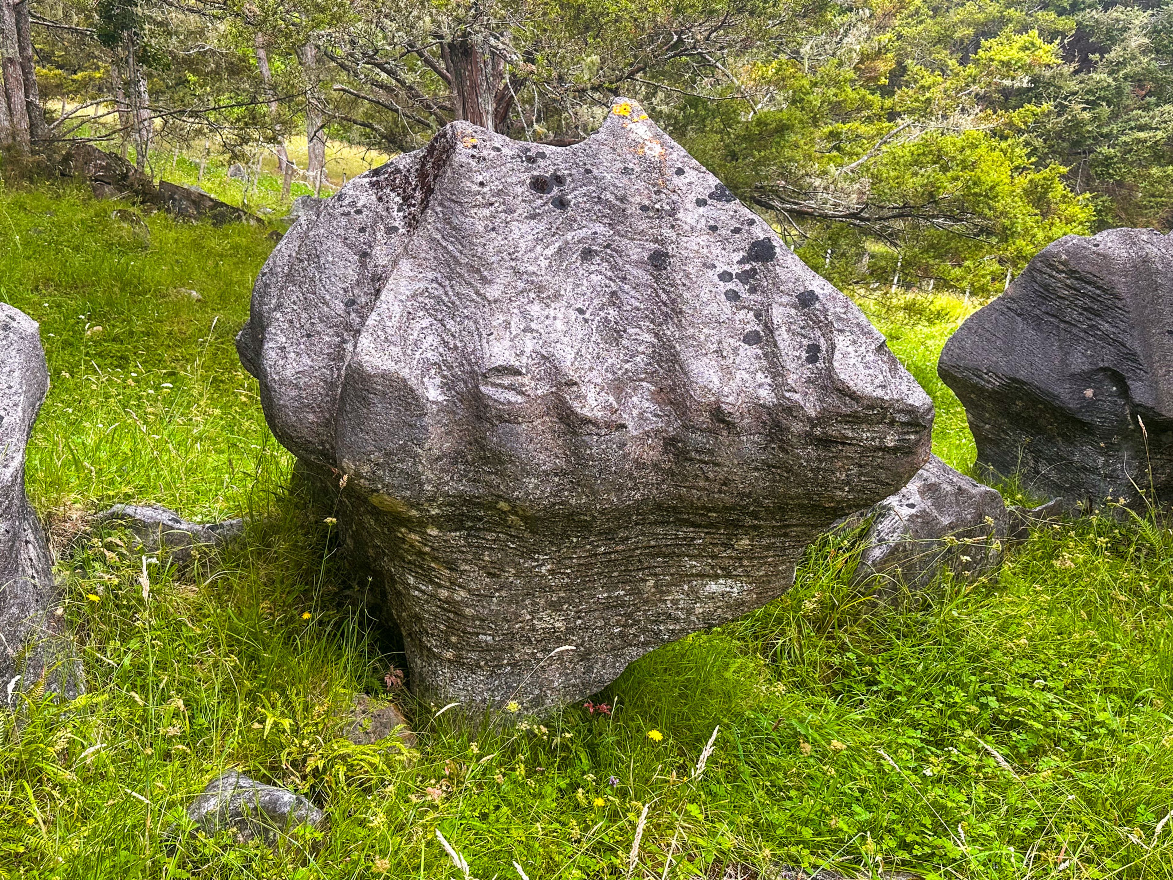 Image 8 of 10