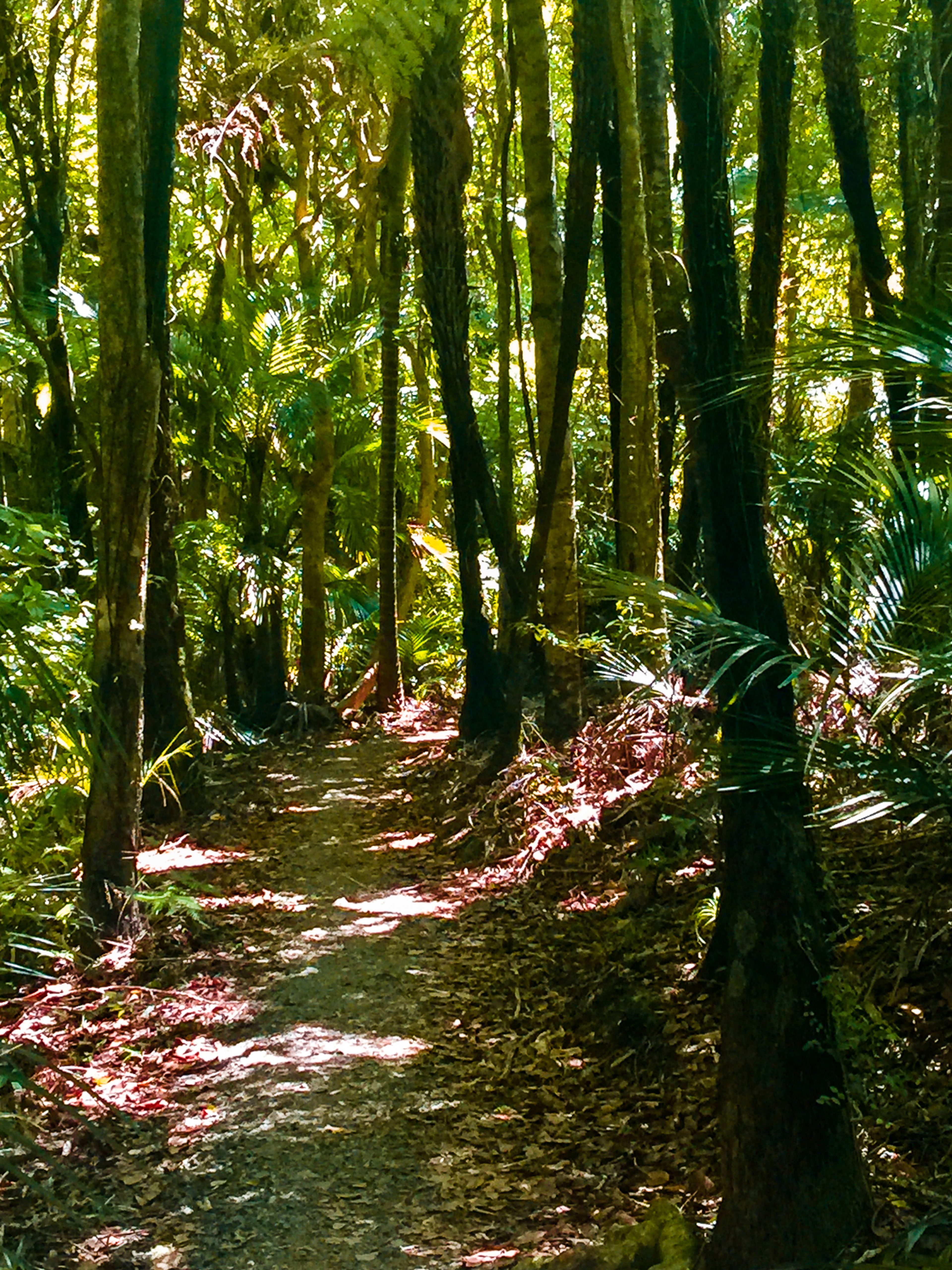 Image 7 of 10