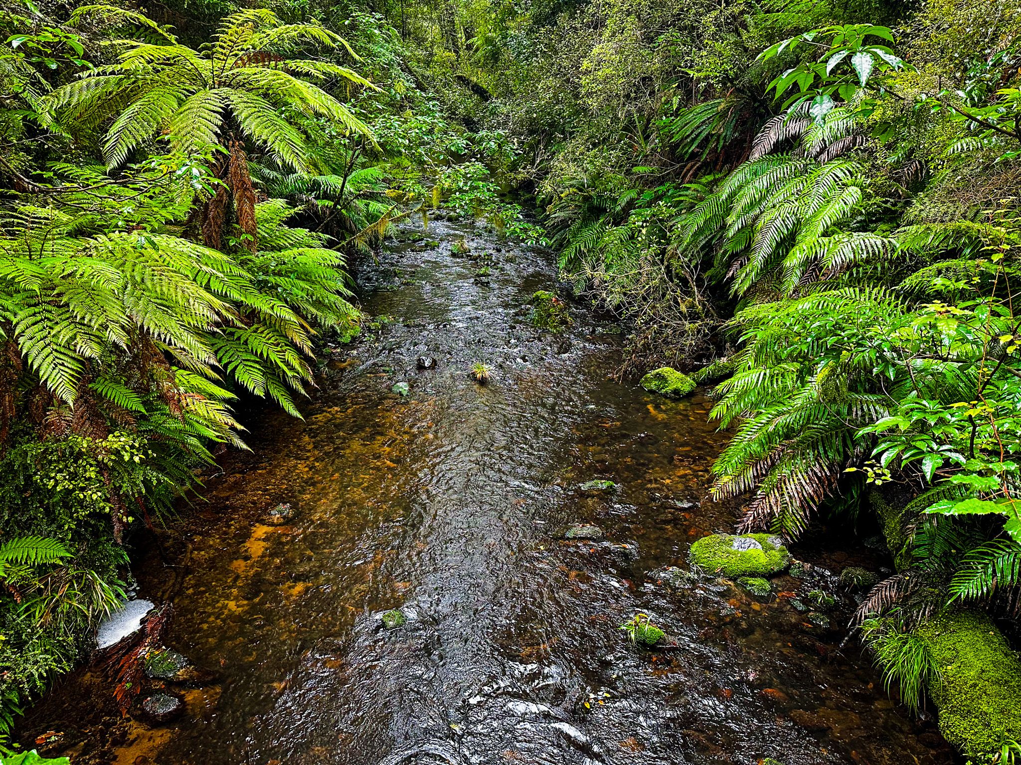 Image 6 of 10