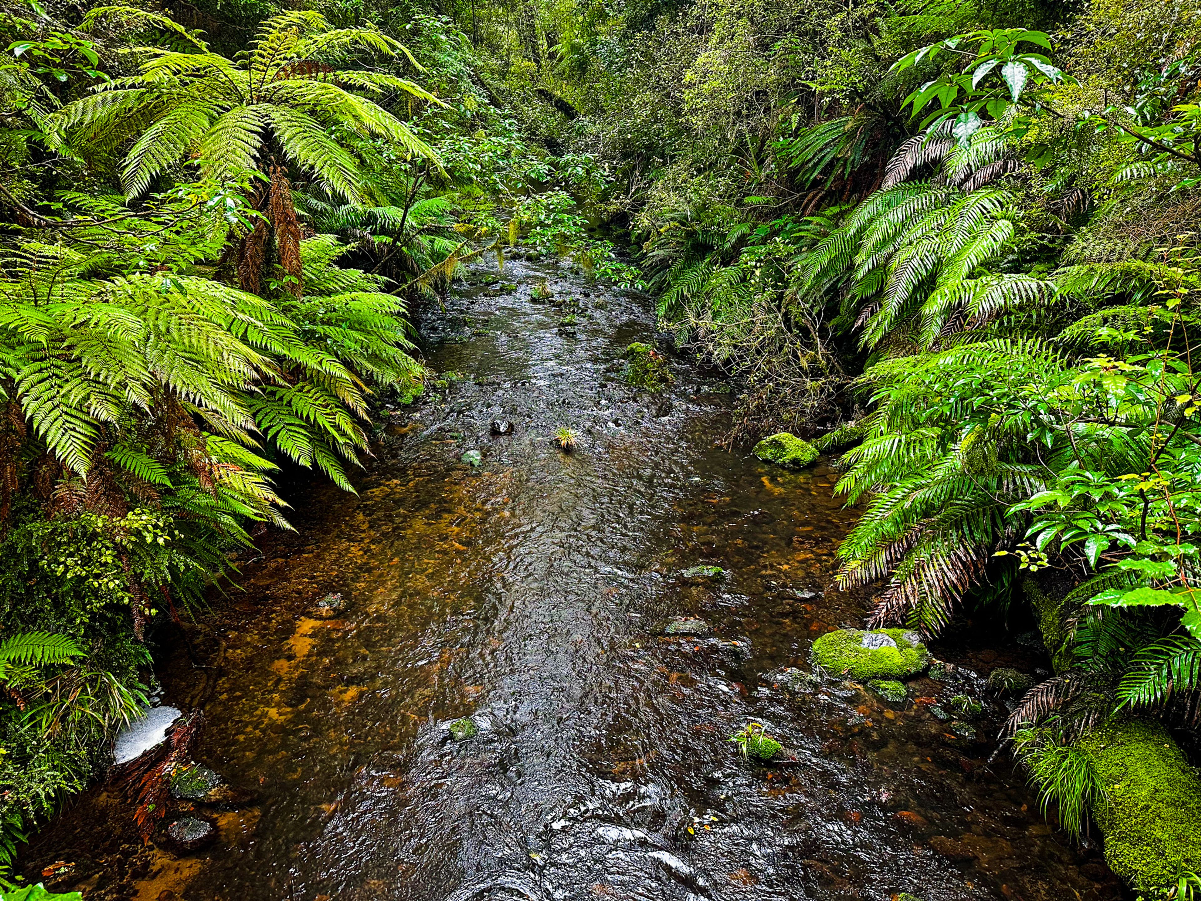 Image 6 of 10