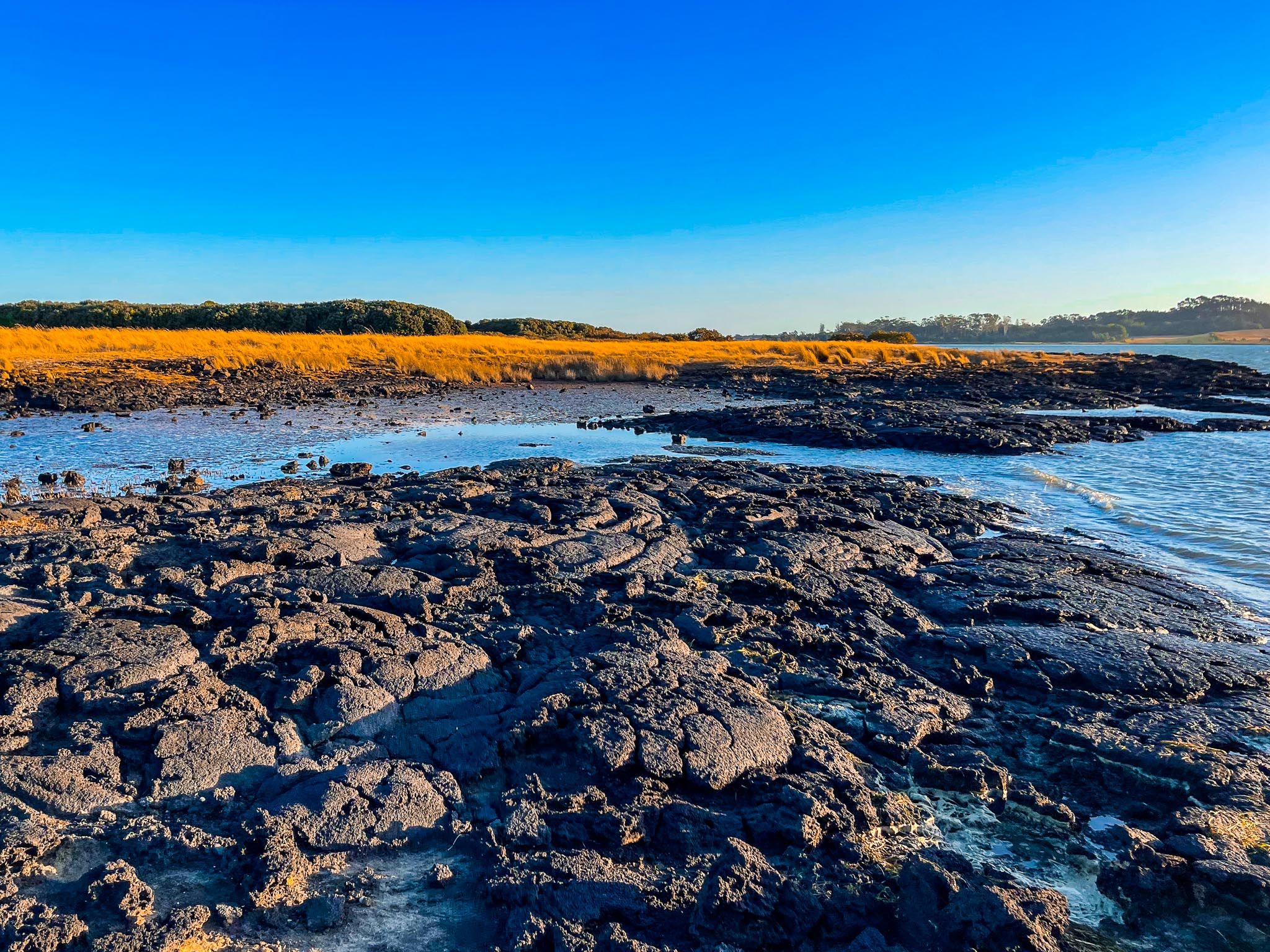 Ambury Regional Park | South Auckland - New Zealand Trip Ideas