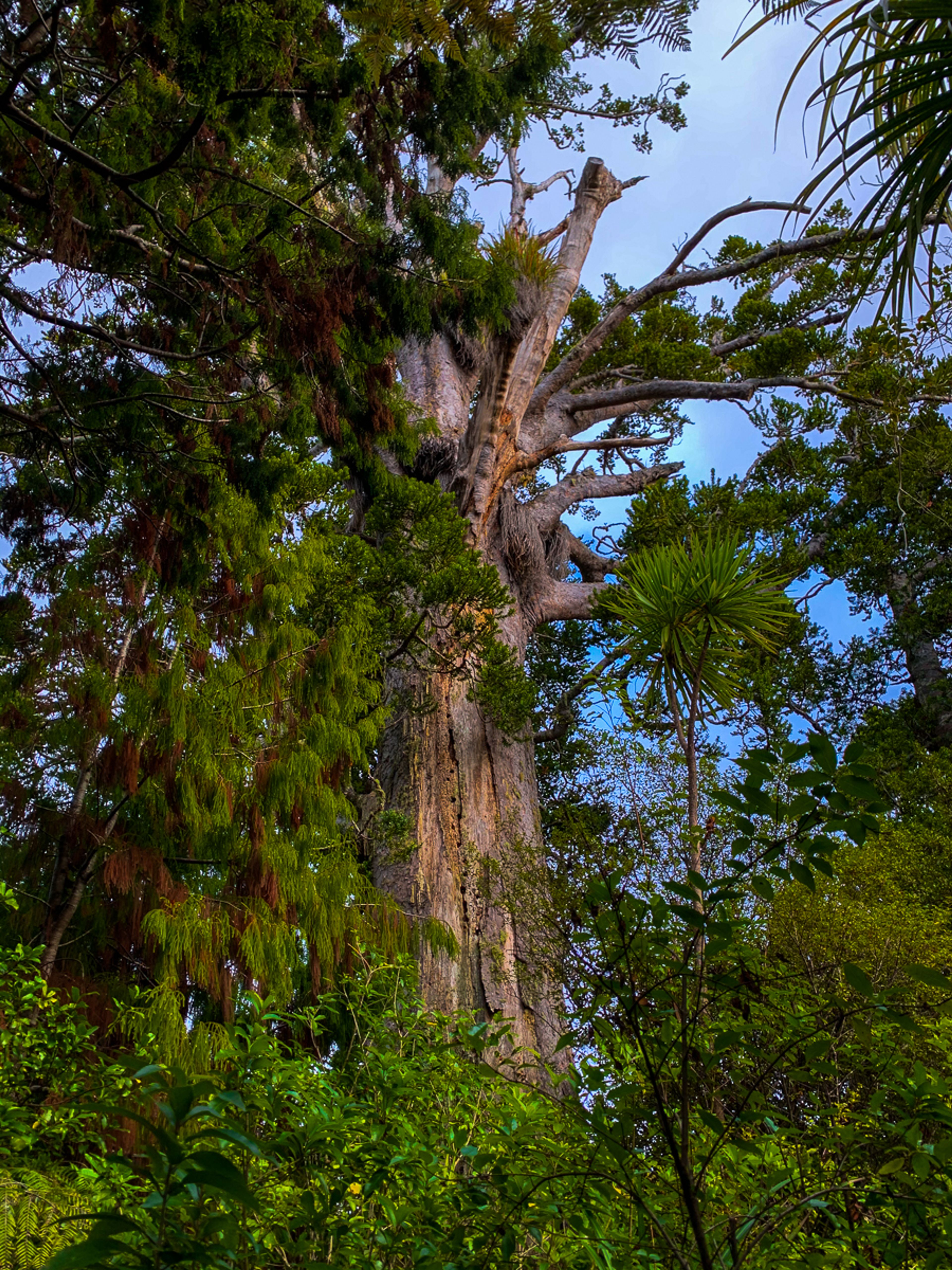 Image 7 of 10