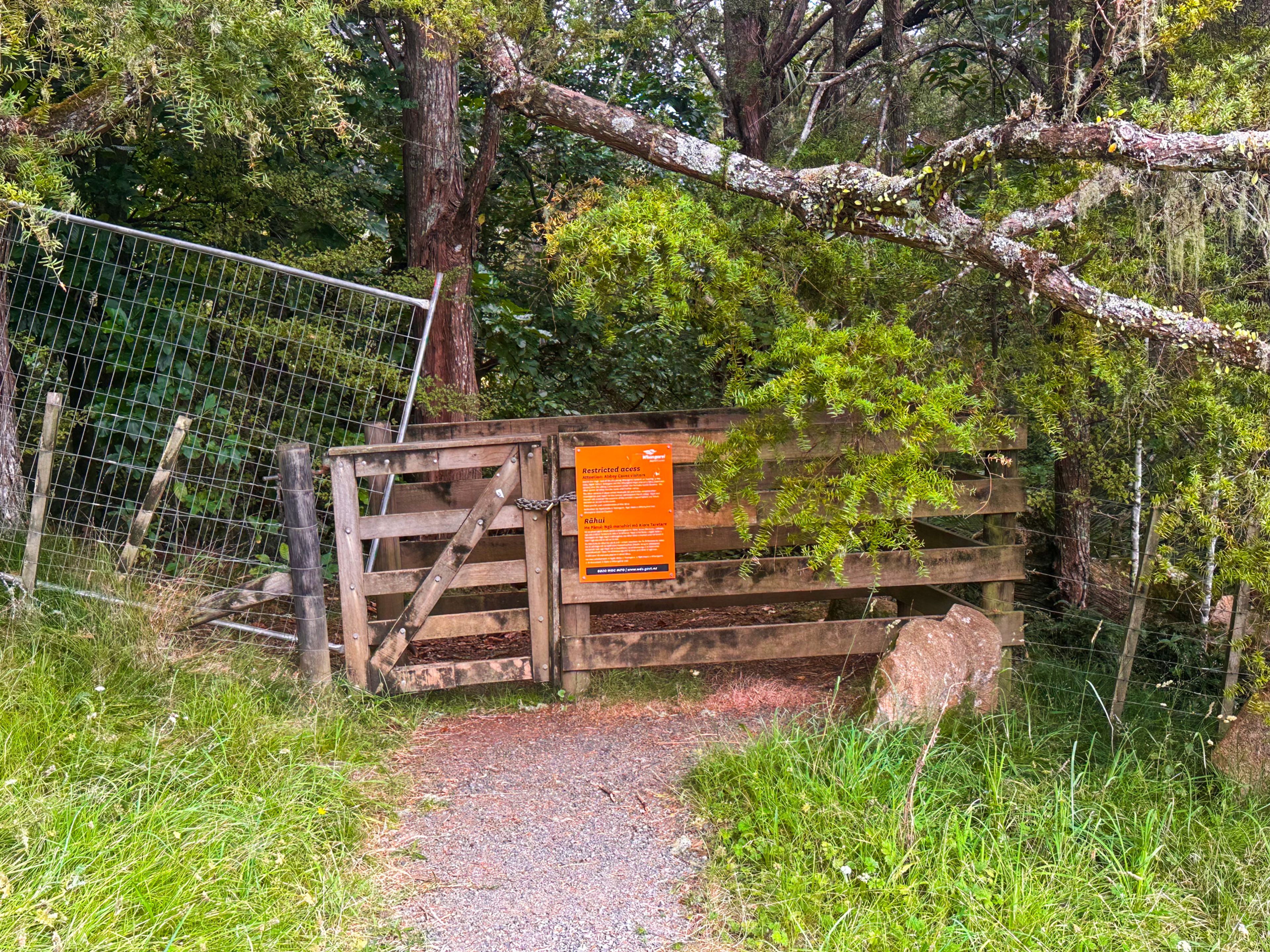 Image 9 of 10