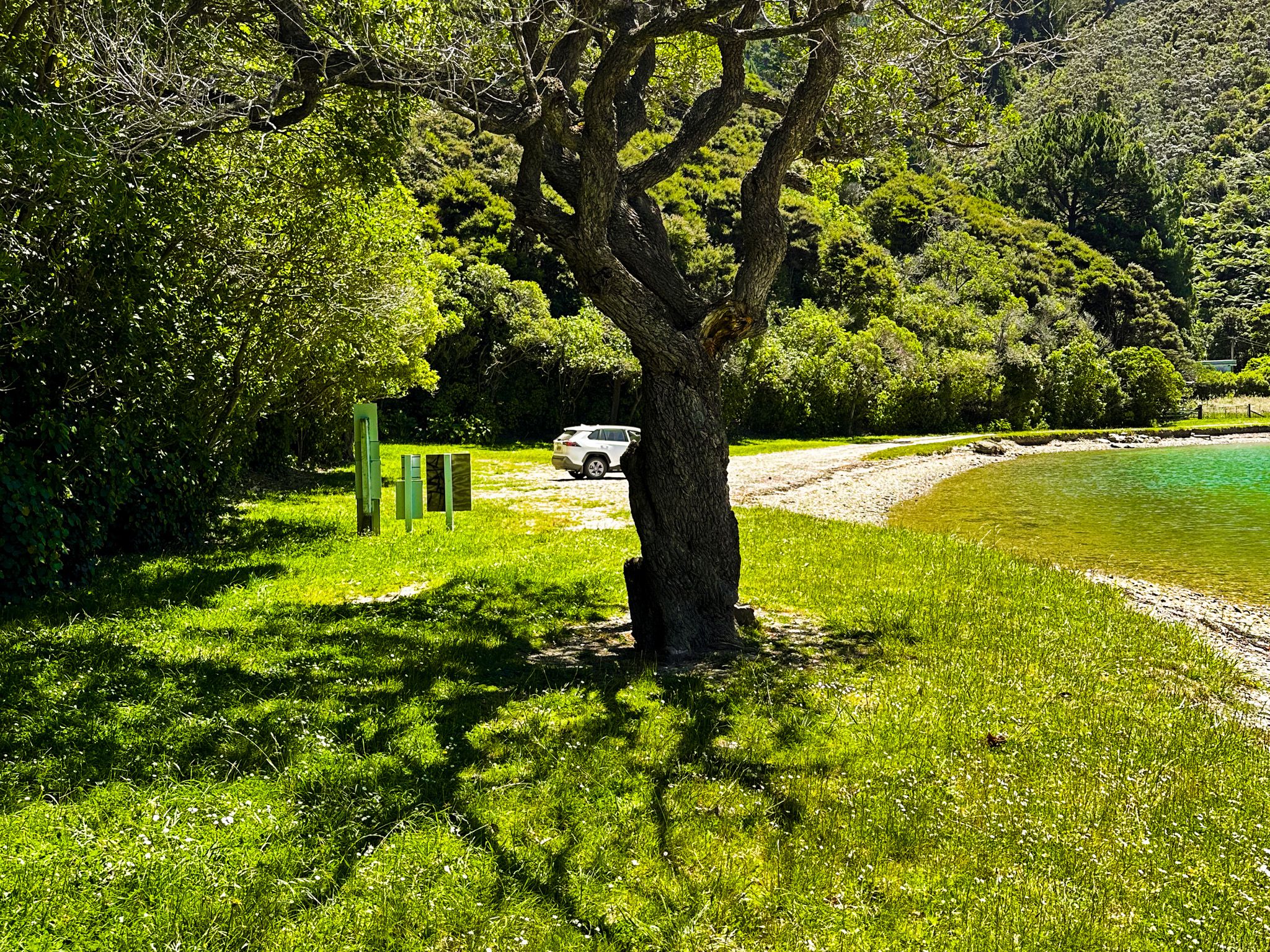 Image 4 of 10