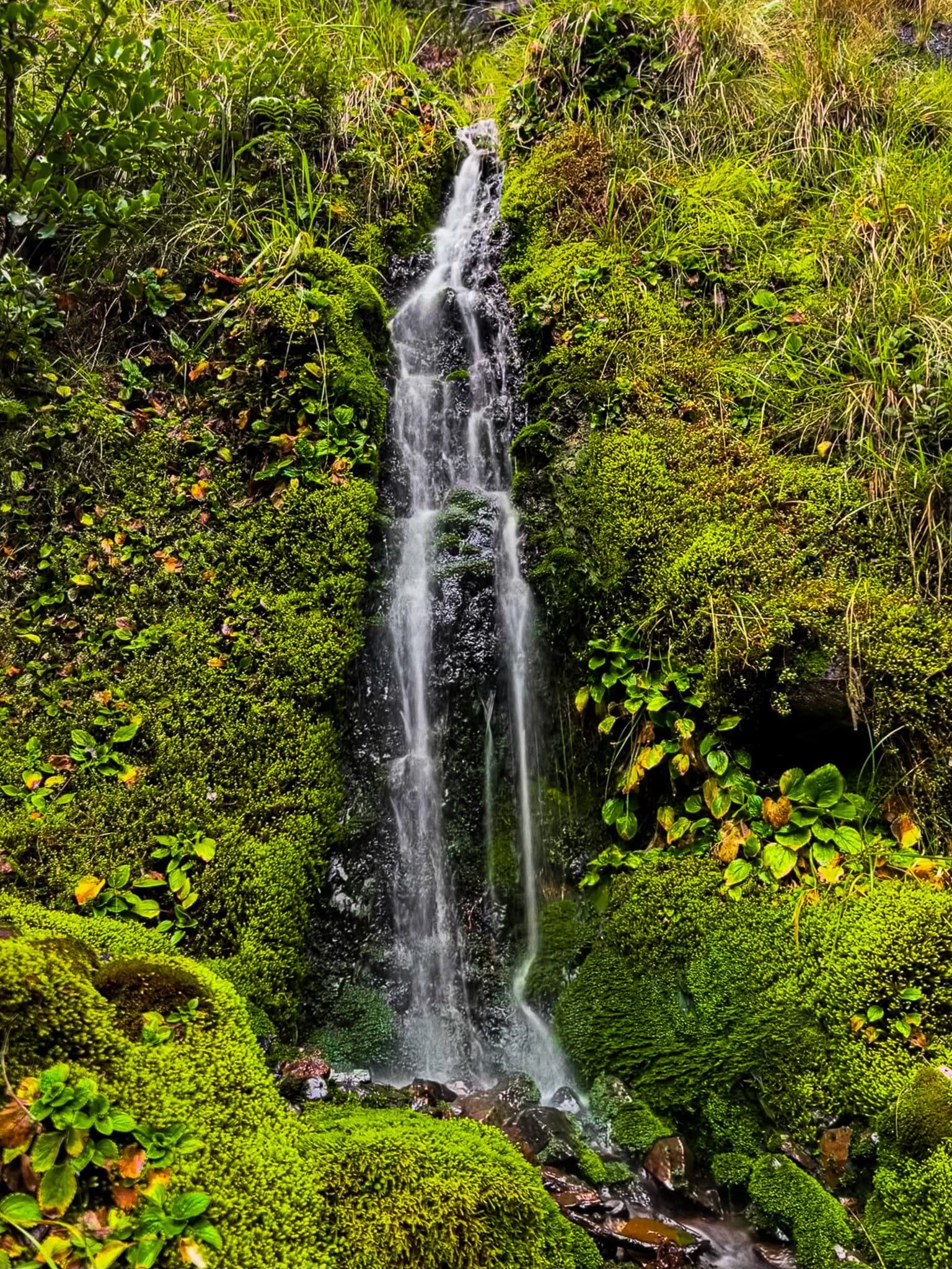 Image 8 of 10