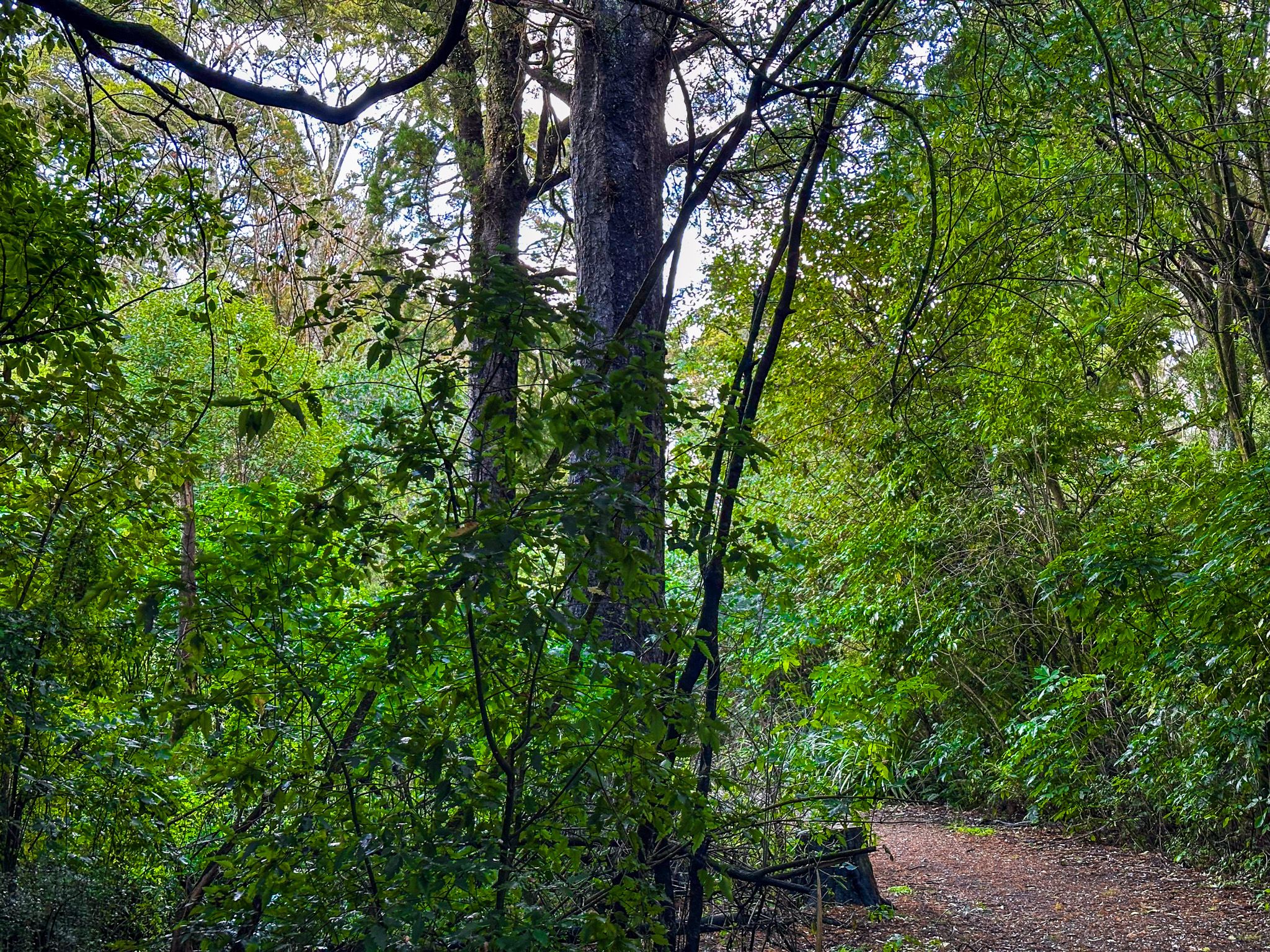 Image 6 of 10