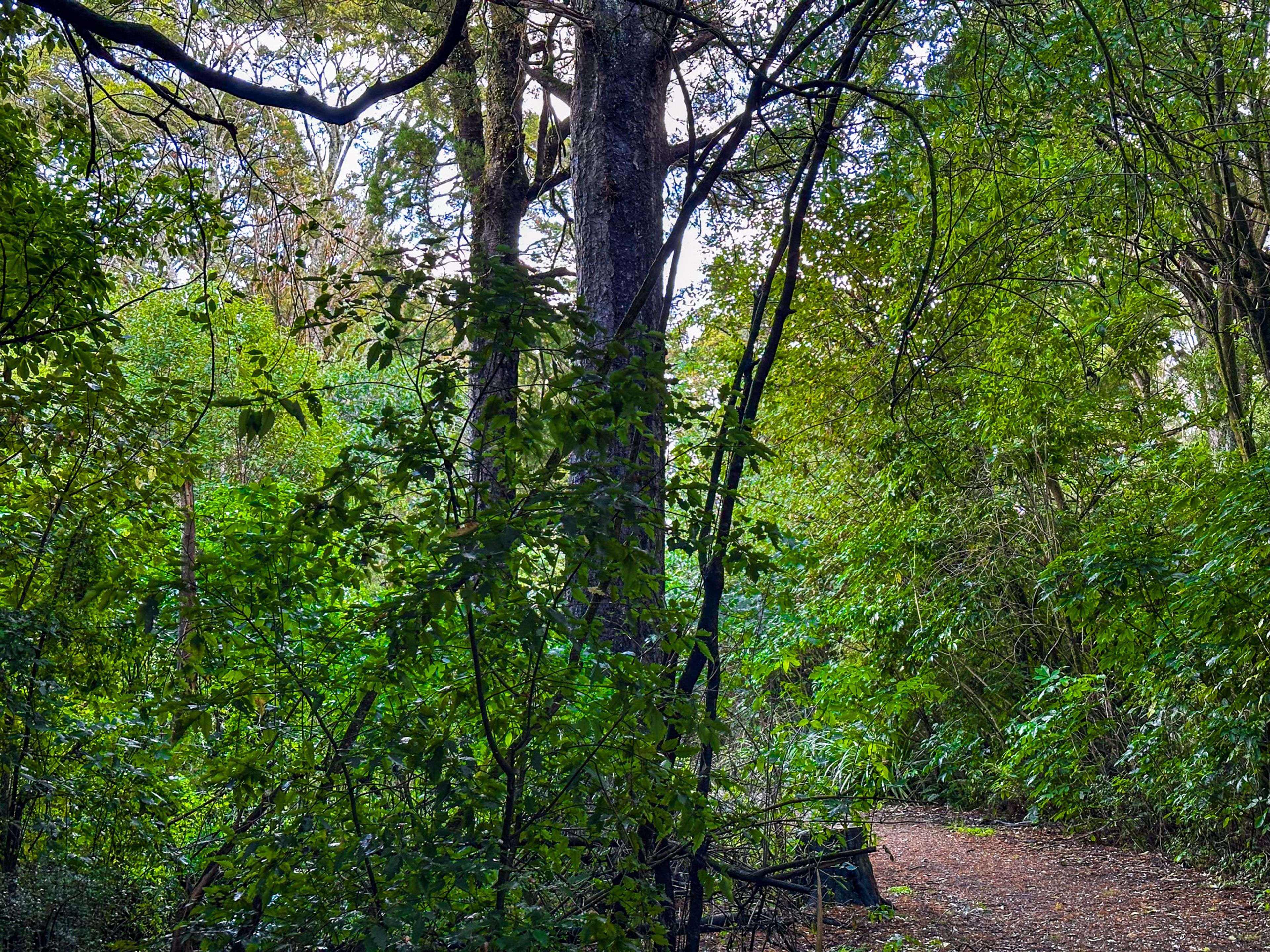 Image 6 of 10