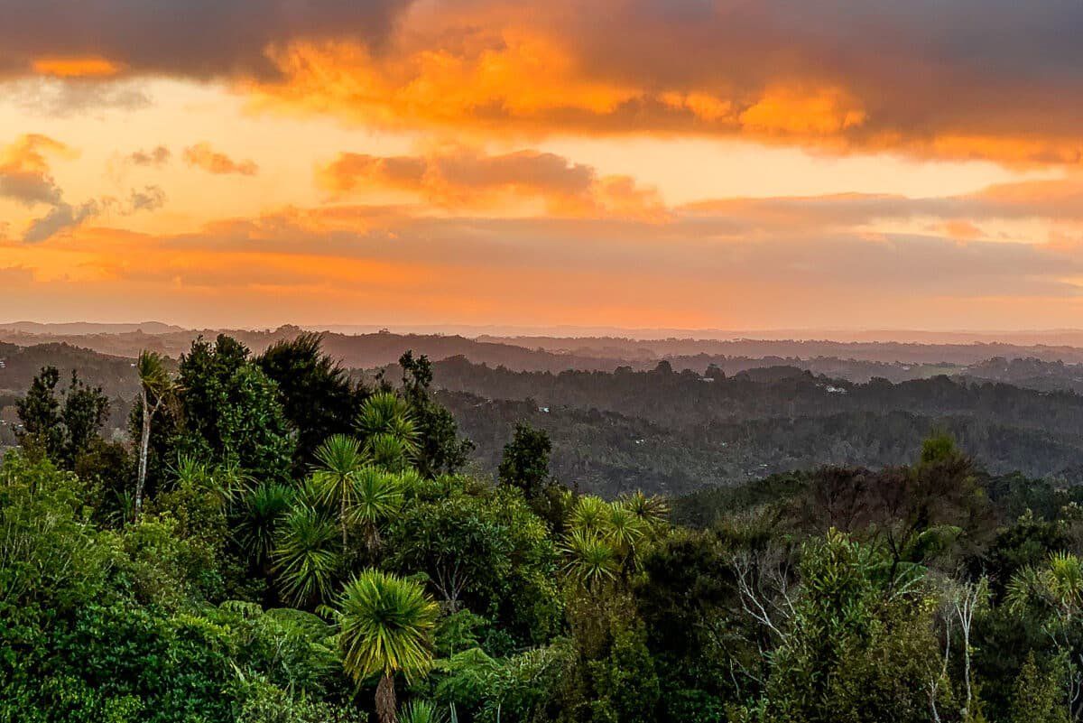 Cruising on the Waitakere Ranges Scenic Drive