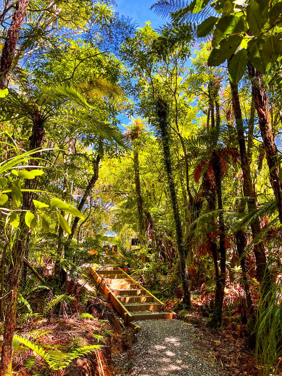 Spragg Bush Track