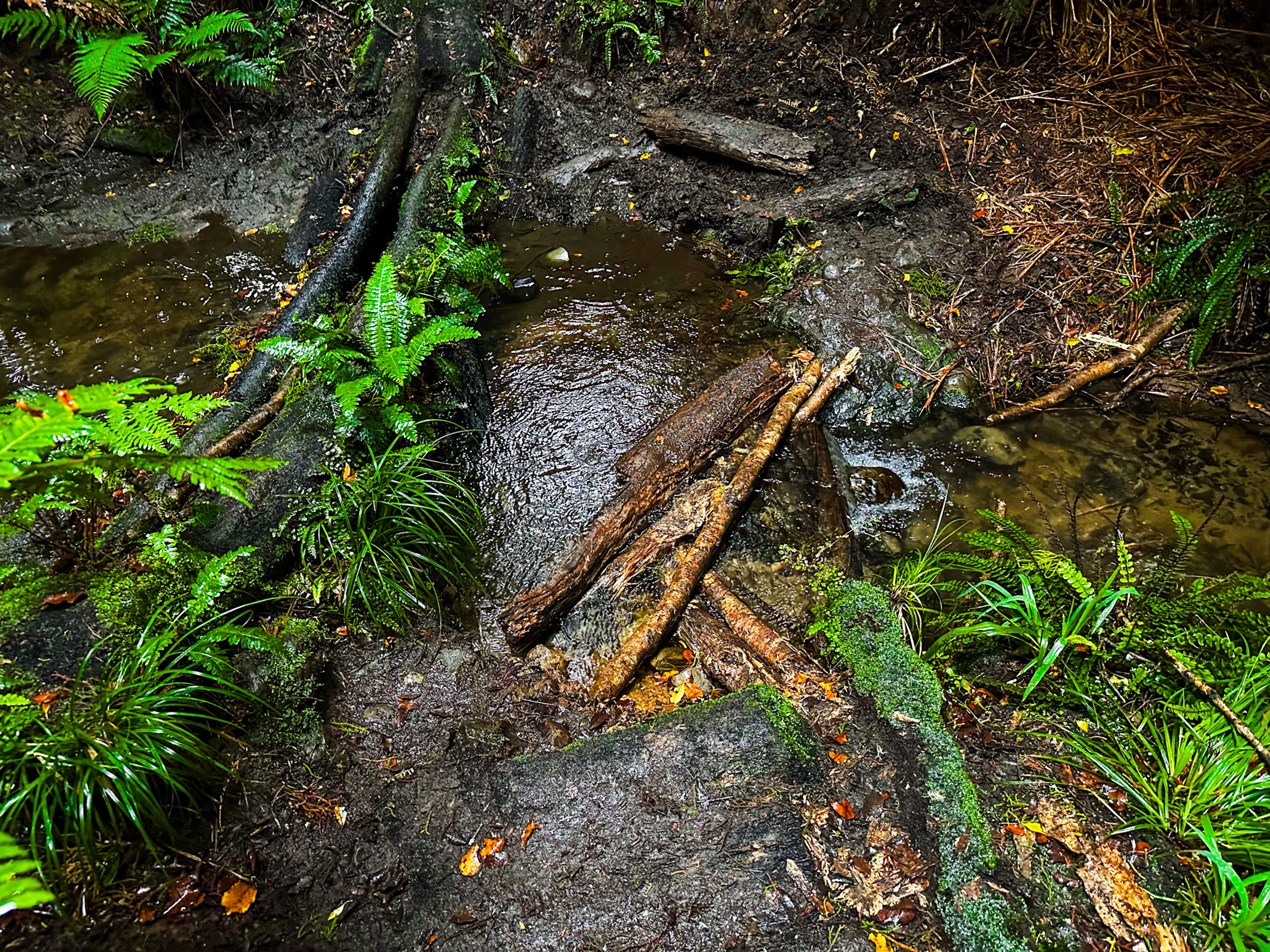 Image 10 of 10