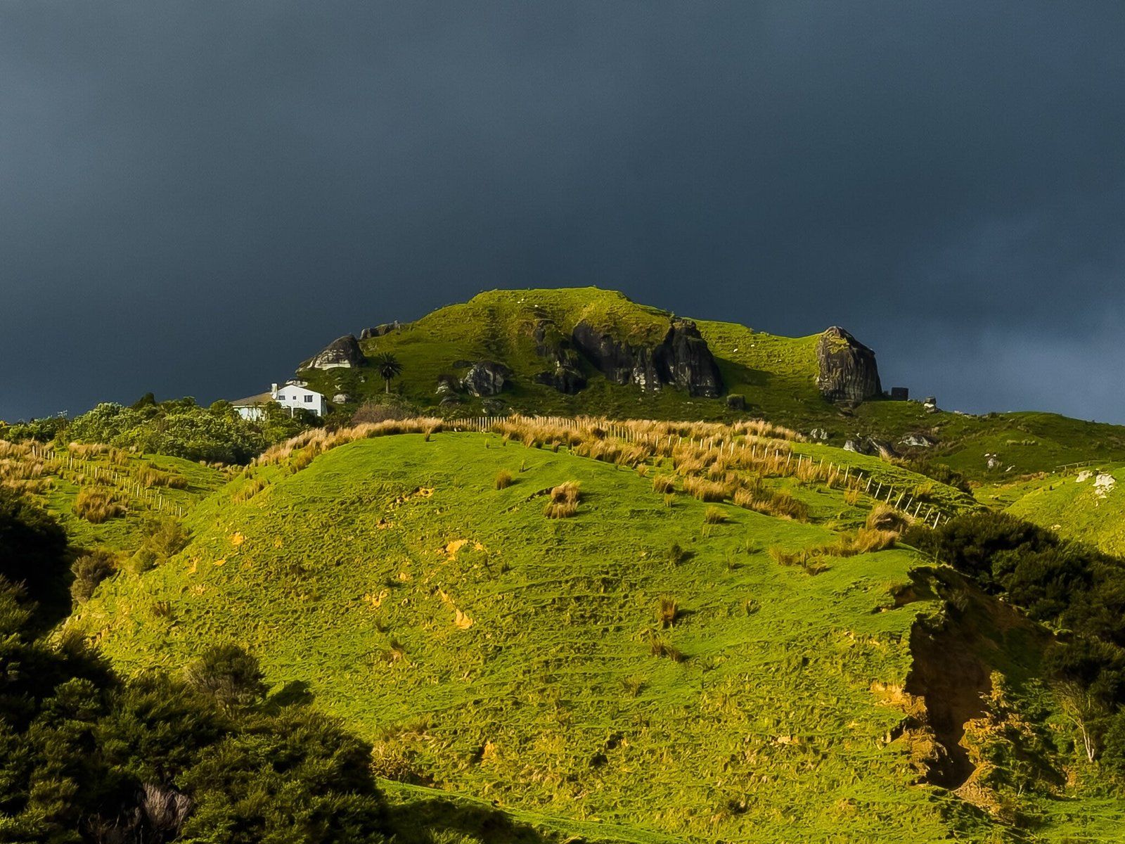 Image 7 of 9