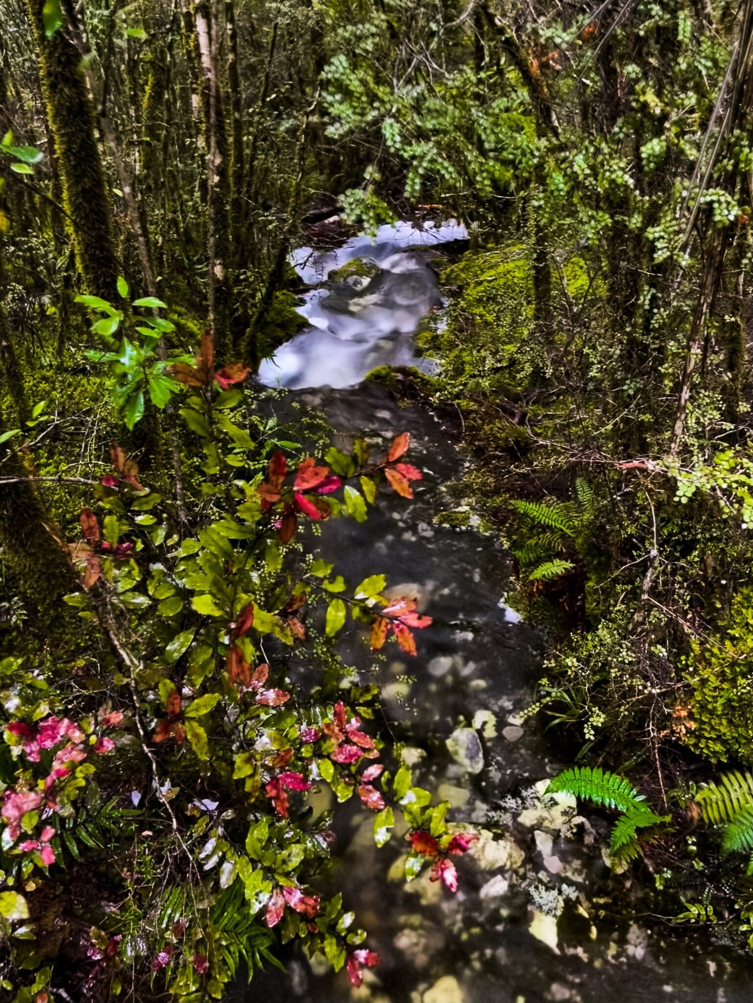 Image 2 of 9