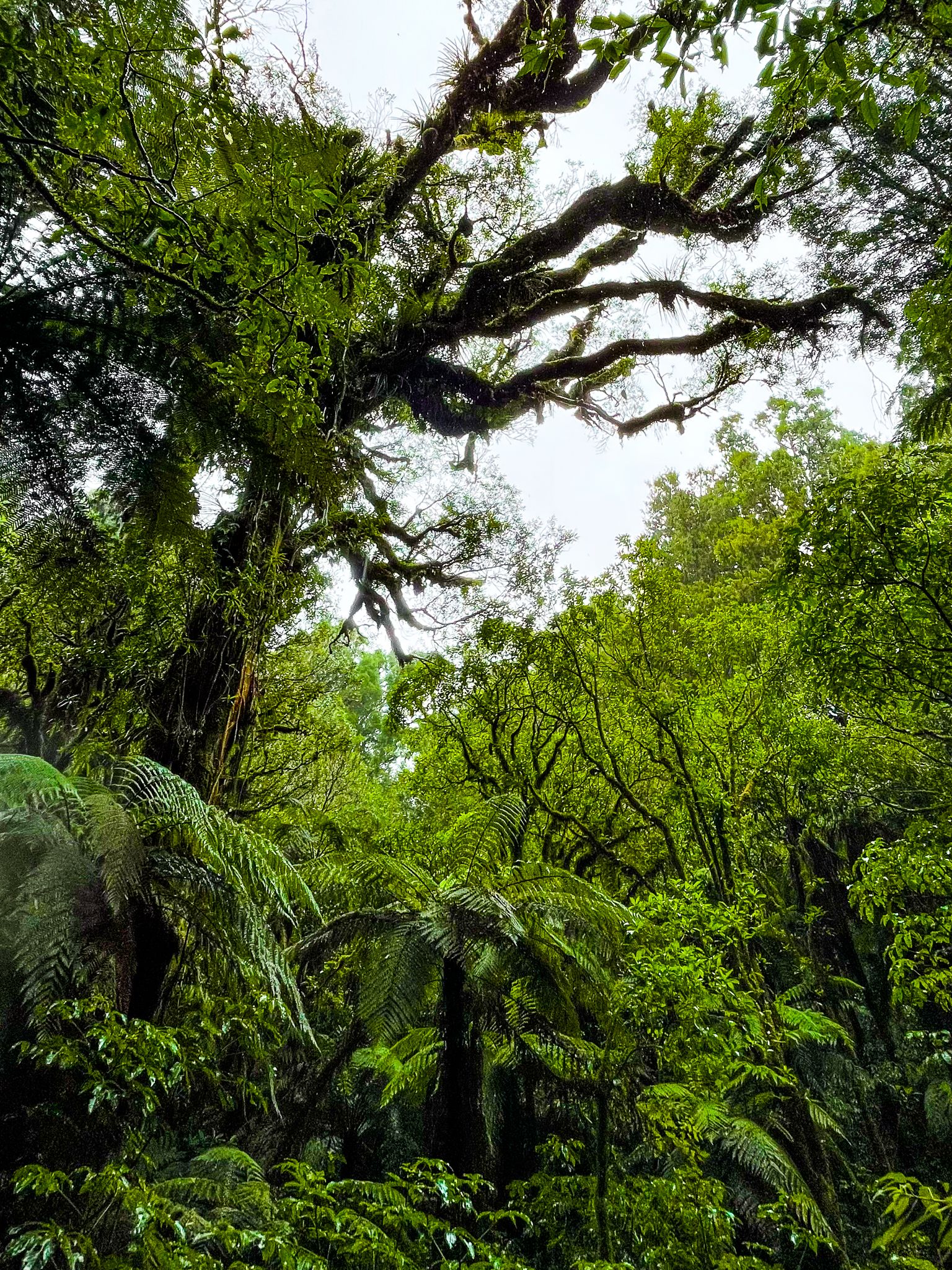 Image 8 of 10
