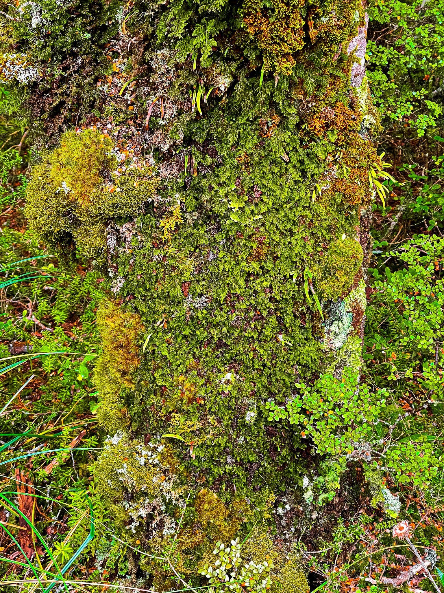 Image 9 of 10
