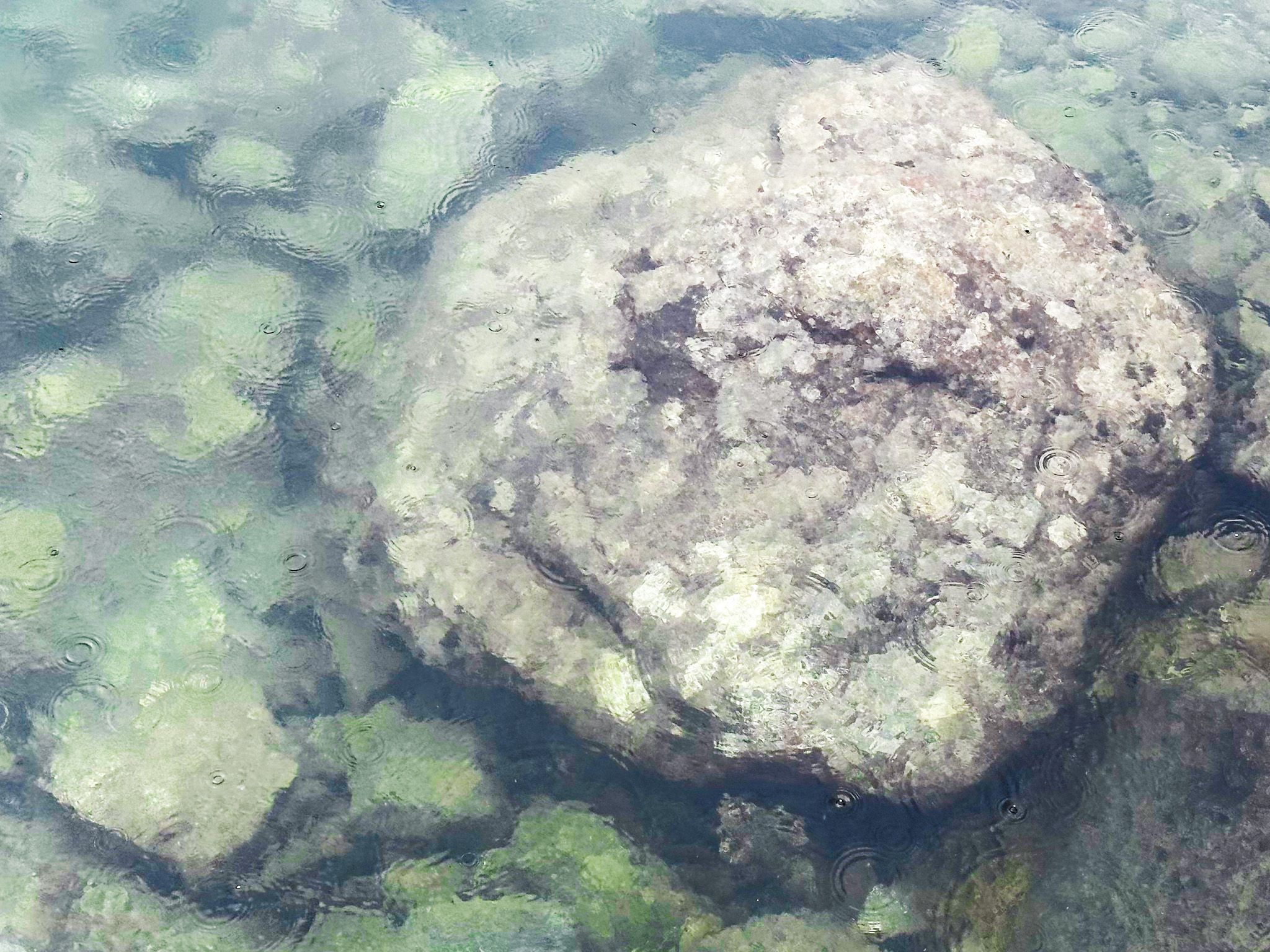 Image 7 of 10