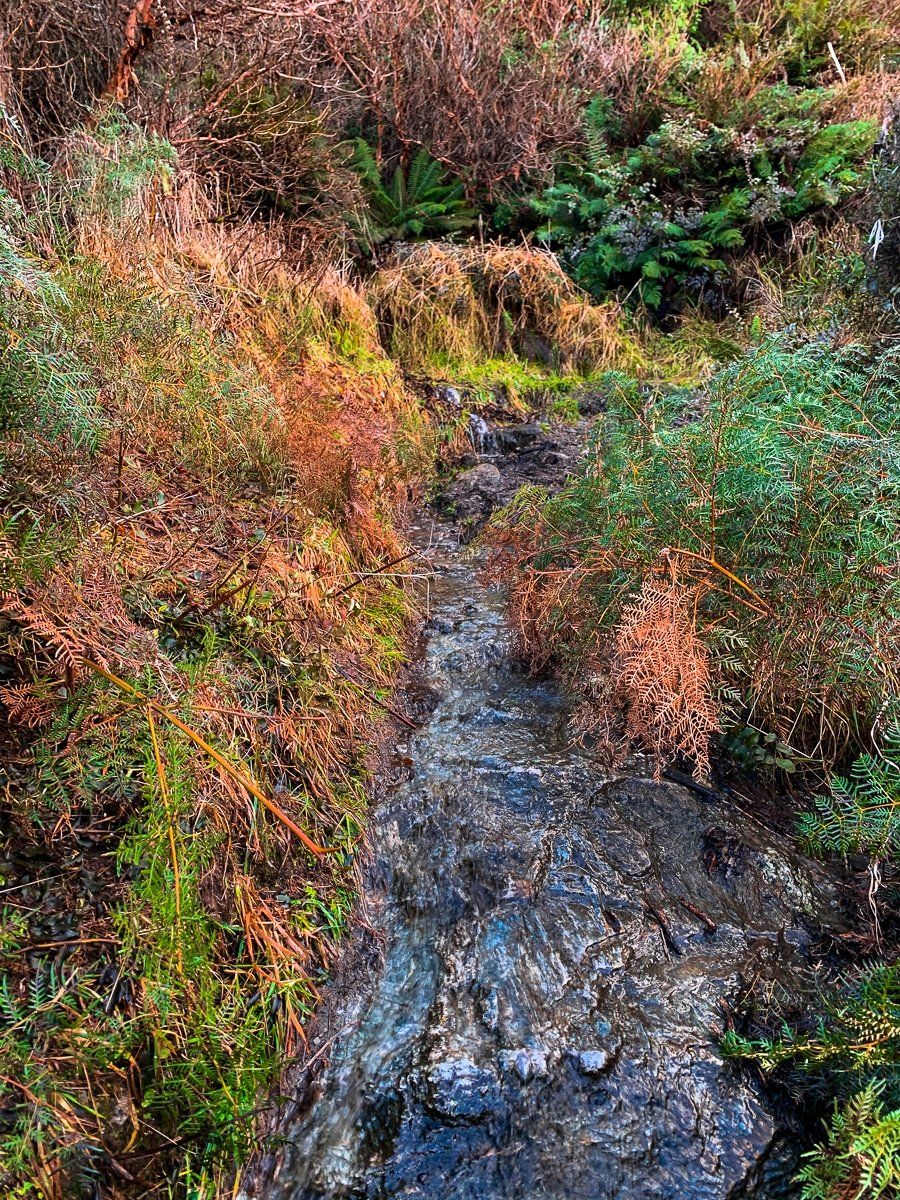 Image 3 of 9