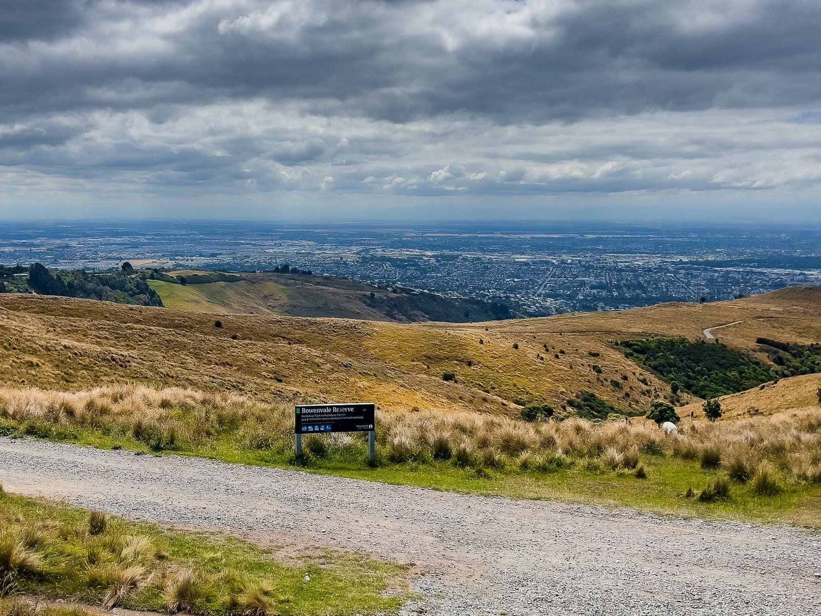 Image 5 of 9