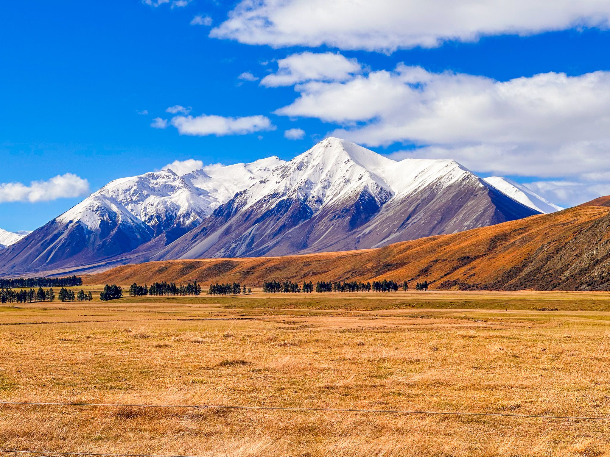 Image 10 of 10