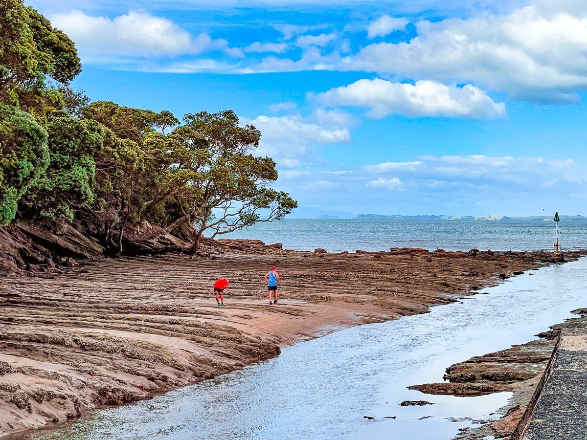 Wairau Creek
