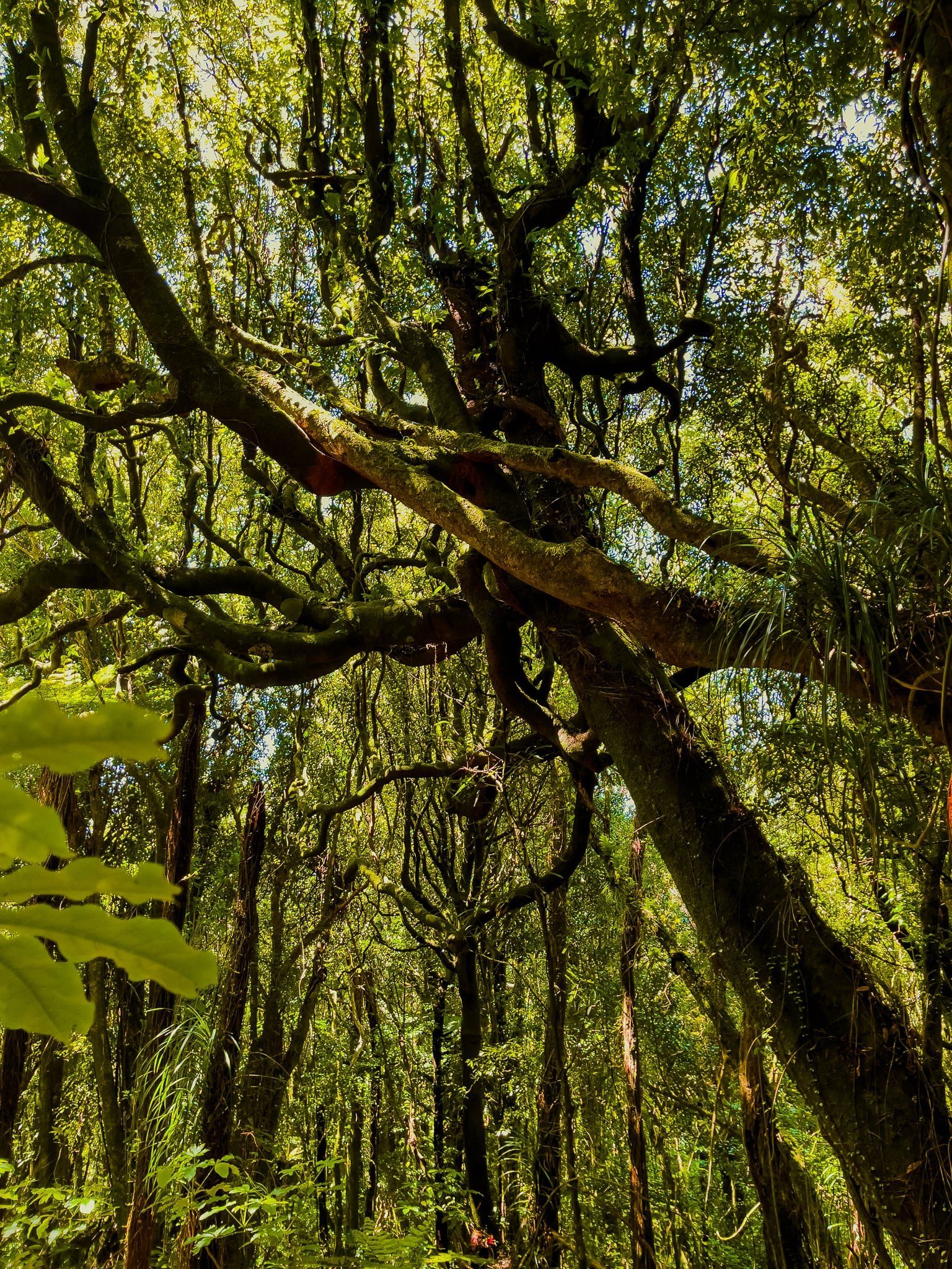Image 8 of 9