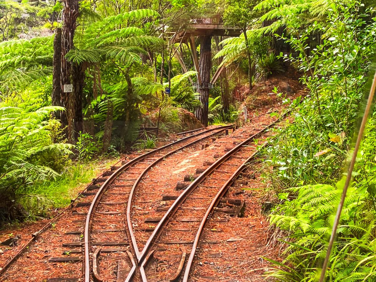 Driving Creek Railway | Western Coromandel - New Zealand Trip Ideas