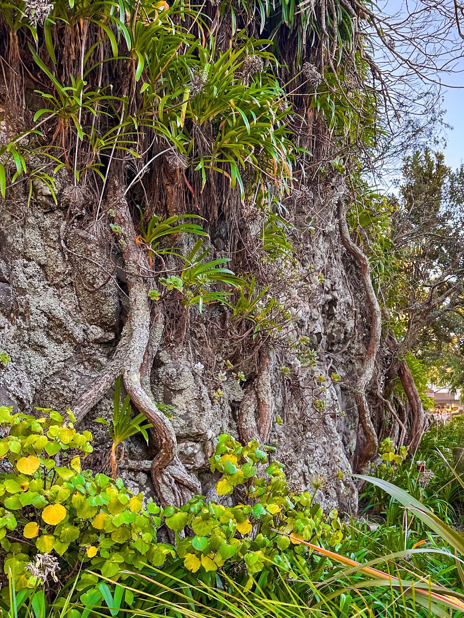Image 6 of 10