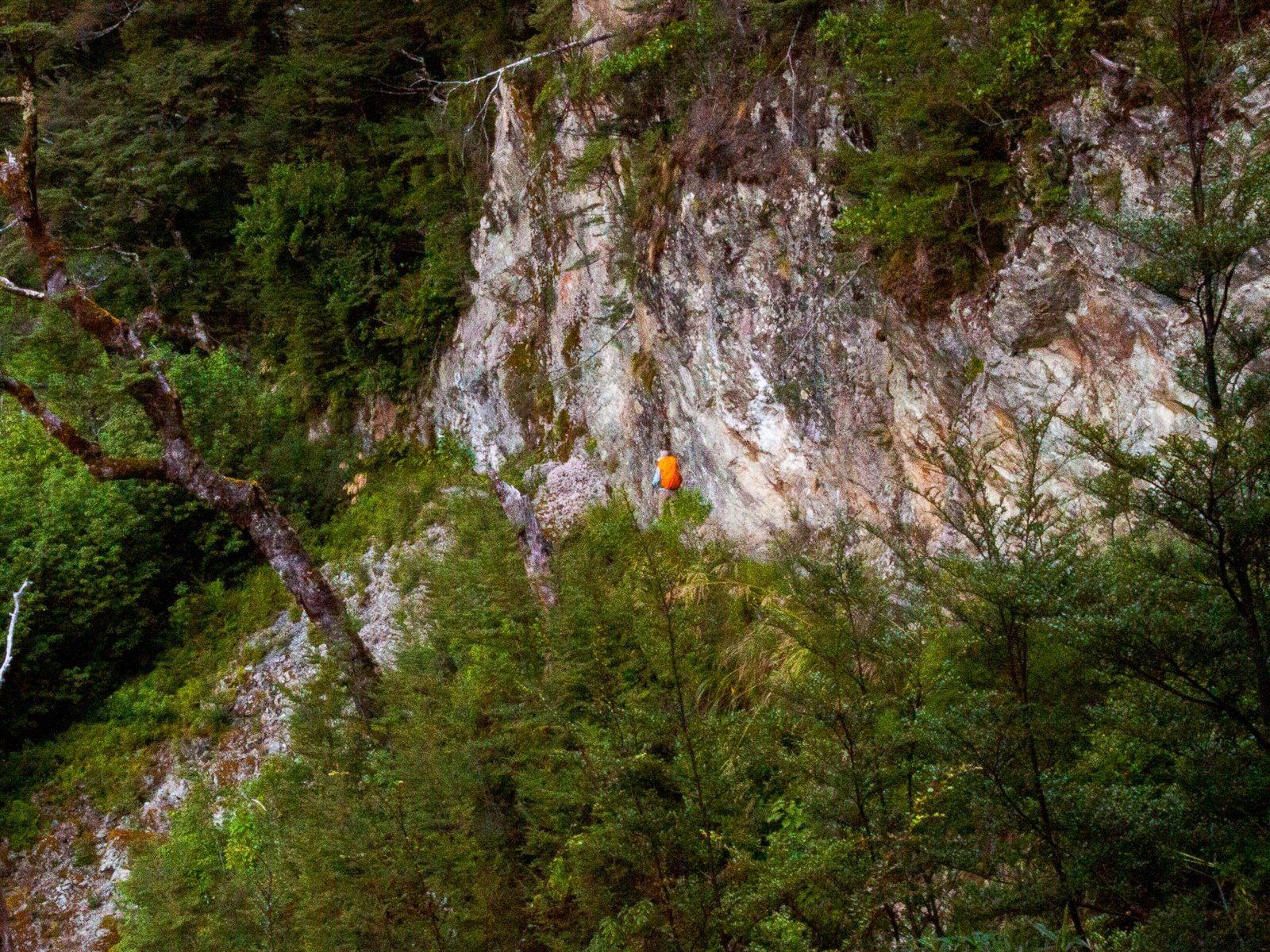 Image 7 of 10